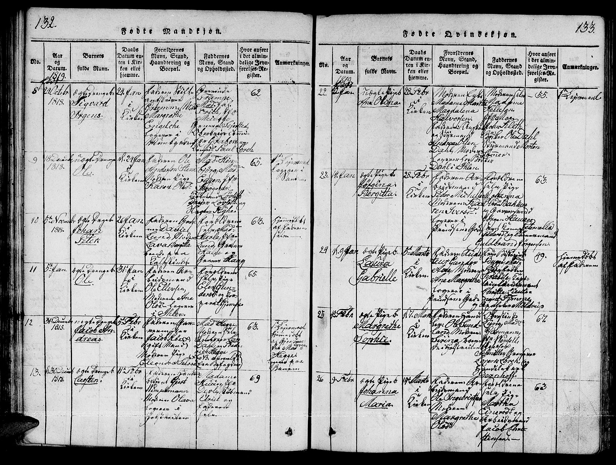 Ministerialprotokoller, klokkerbøker og fødselsregistre - Sør-Trøndelag, SAT/A-1456/601/L0043: Ministerialbok nr. 601A11, 1815-1821, s. 132-133