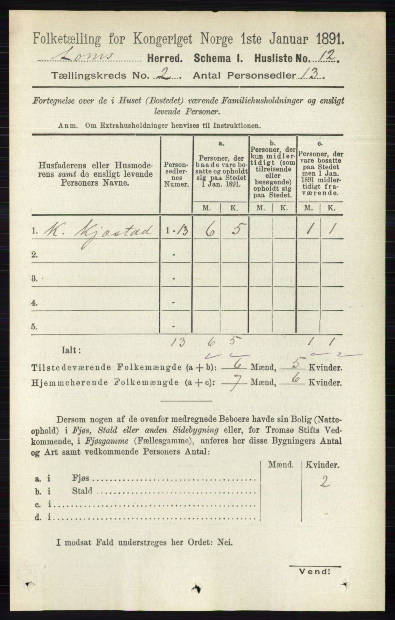 RA, Folketelling 1891 for 0514 Lom herred, 1891, s. 729