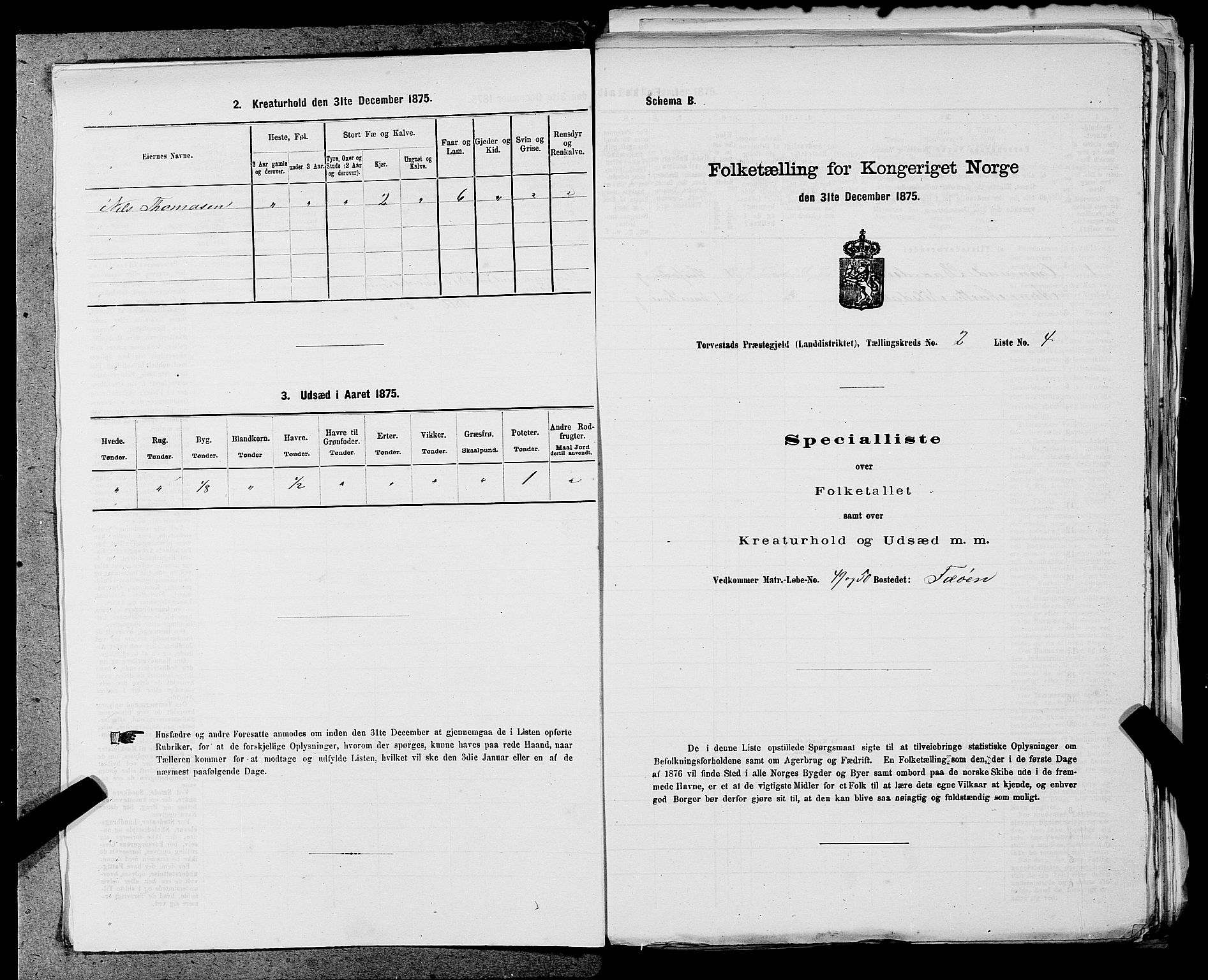 SAST, Folketelling 1875 for 1152L Torvastad prestegjeld, Torvastad sokn, Skåre sokn og Utsira sokn, 1875, s. 207