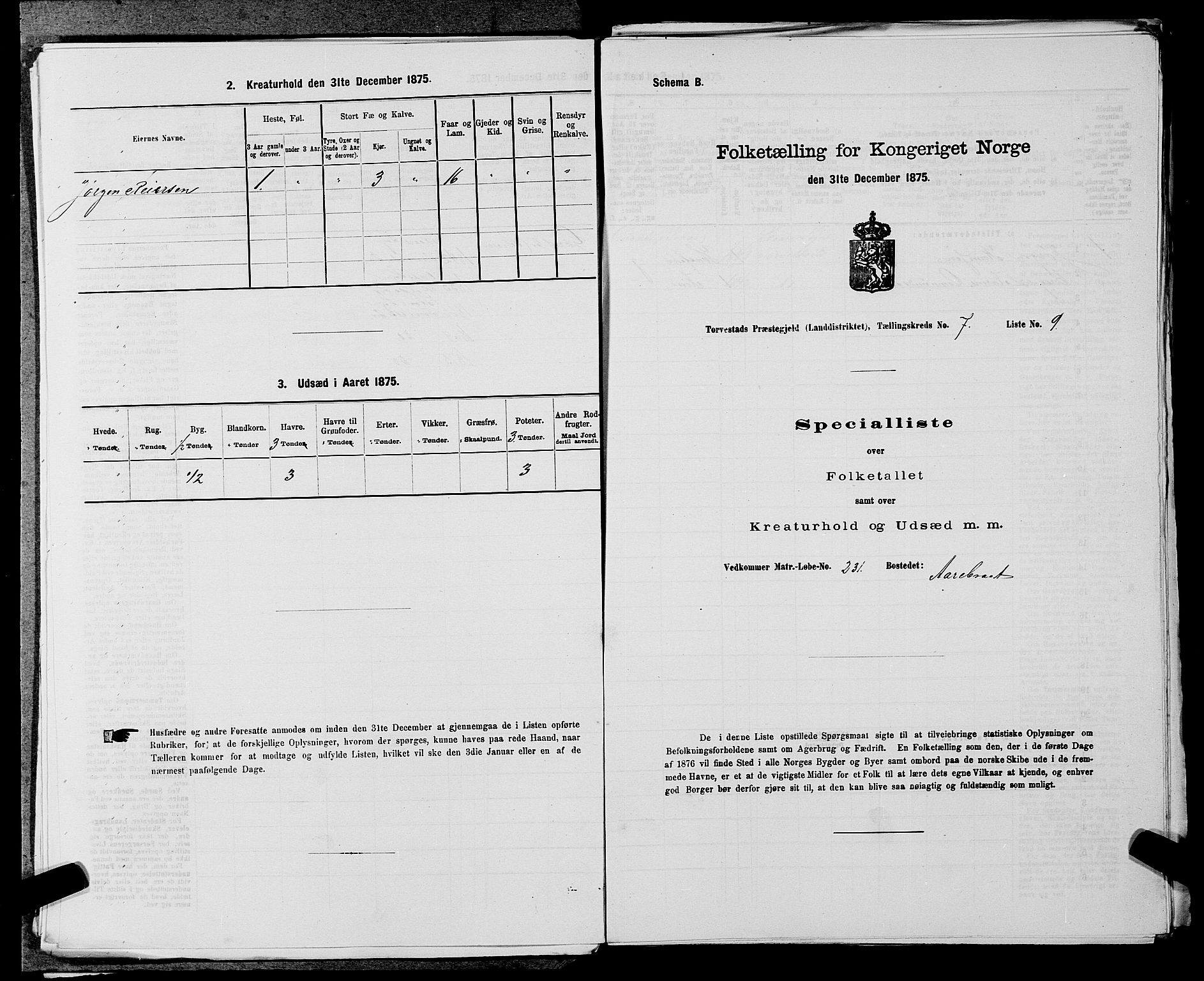 SAST, Folketelling 1875 for 1152L Torvastad prestegjeld, Torvastad sokn, Skåre sokn og Utsira sokn, 1875, s. 913