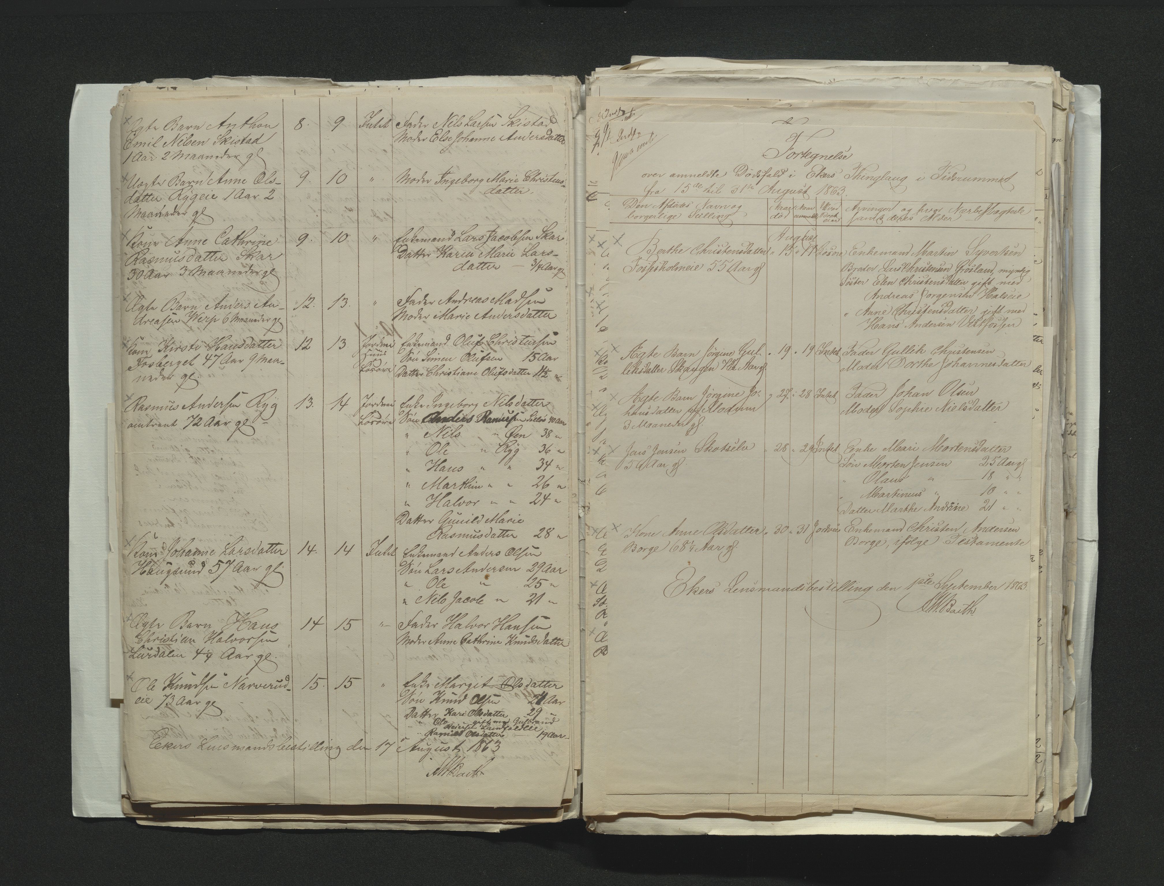 Eiker, Modum og Sigdal sorenskriveri, AV/SAKO-A-123/H/Ha/Hab/L0011: Dødsfallsmeldinger, 1862-1865, s. 202