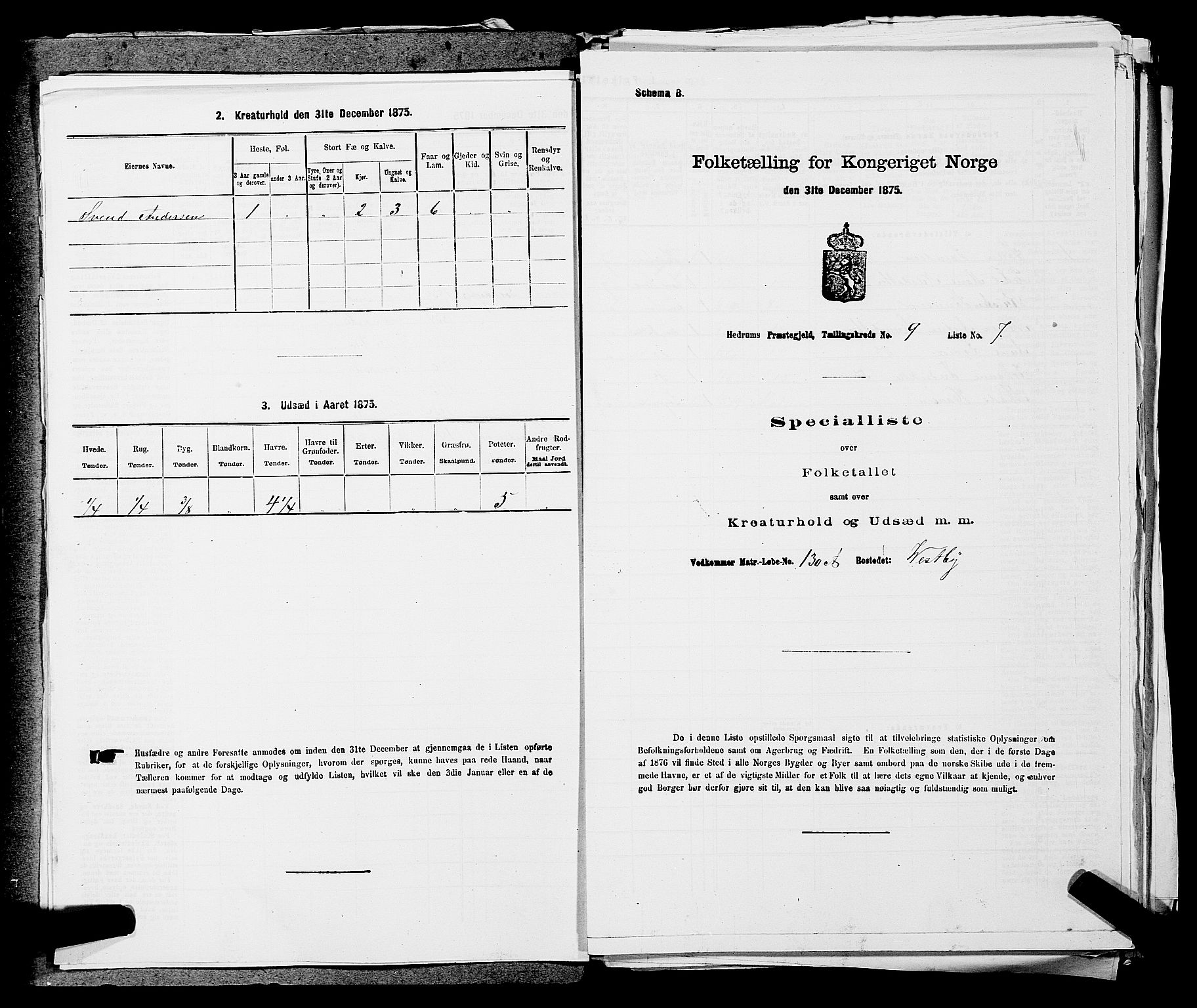 SAKO, Folketelling 1875 for 0727P Hedrum prestegjeld, 1875, s. 850