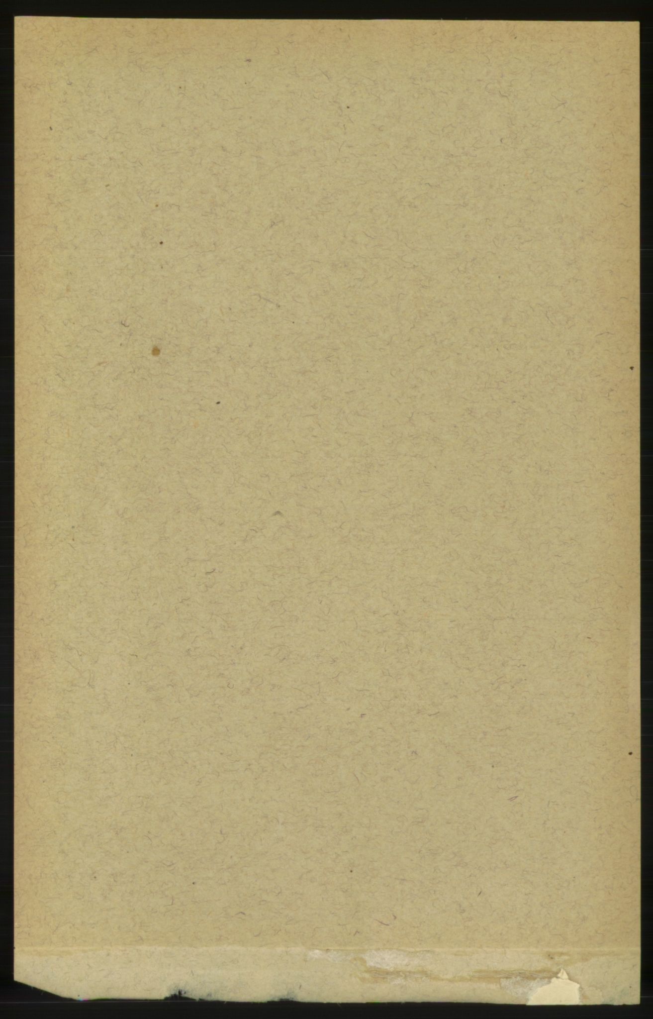 RA, Folketelling 1891 for 1571 Halsa herred, 1891, s. 2206