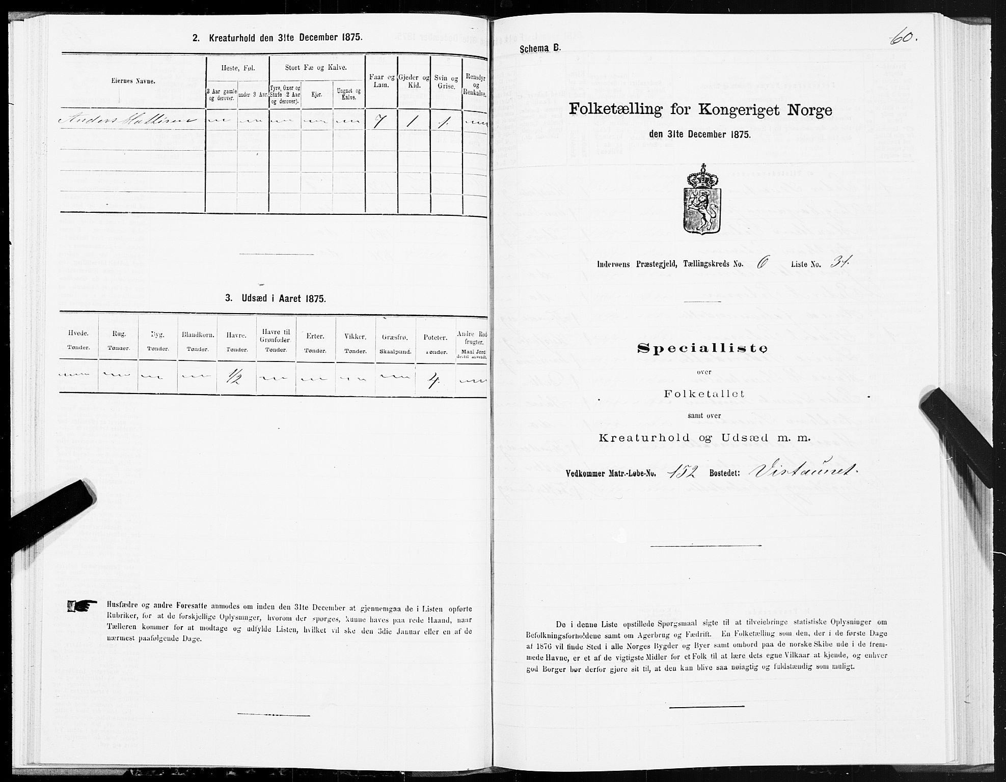 SAT, Folketelling 1875 for 1729P Inderøy prestegjeld, 1875, s. 4060