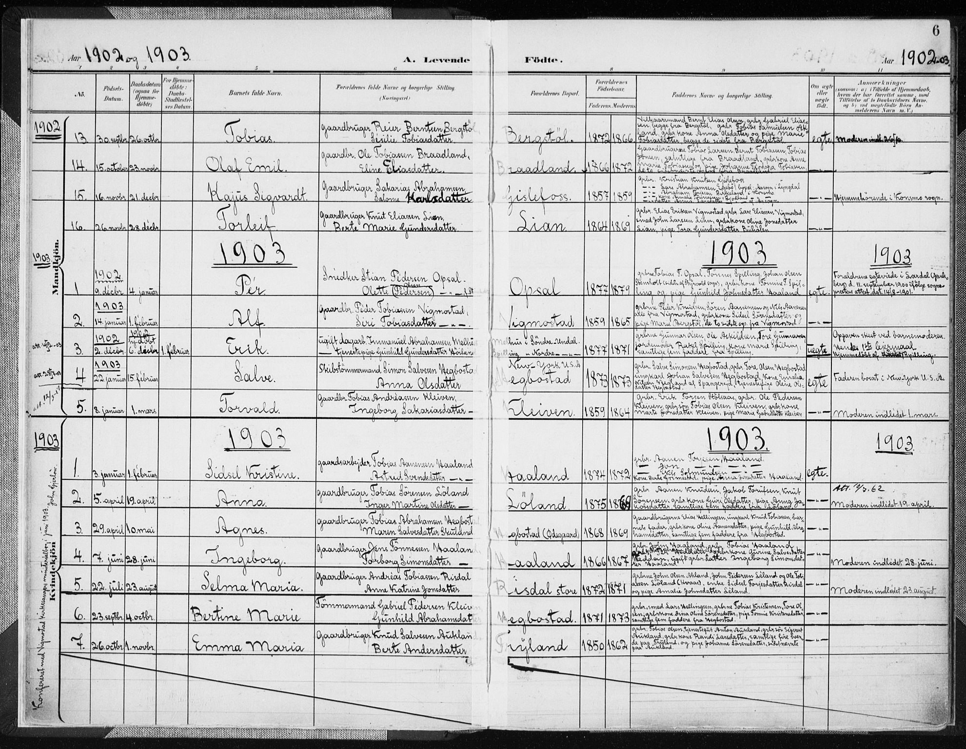 Nord-Audnedal sokneprestkontor, AV/SAK-1111-0032/F/Fa/Fab/L0004: Ministerialbok nr. A 4, 1901-1917, s. 6