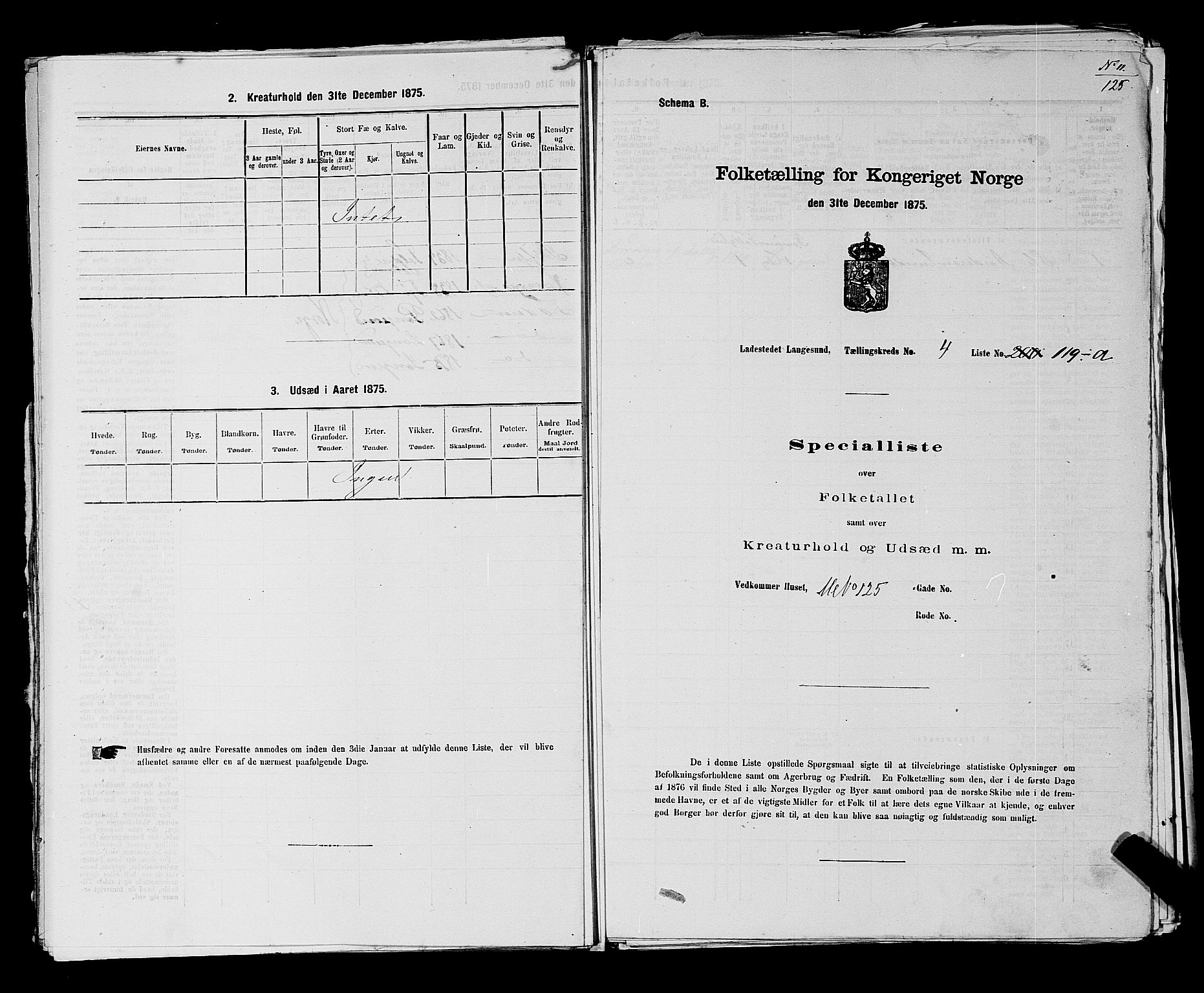 SAKO, Folketelling 1875 for 0802B Bamble prestegjeld, Langesund ladested, 1875, s. 262