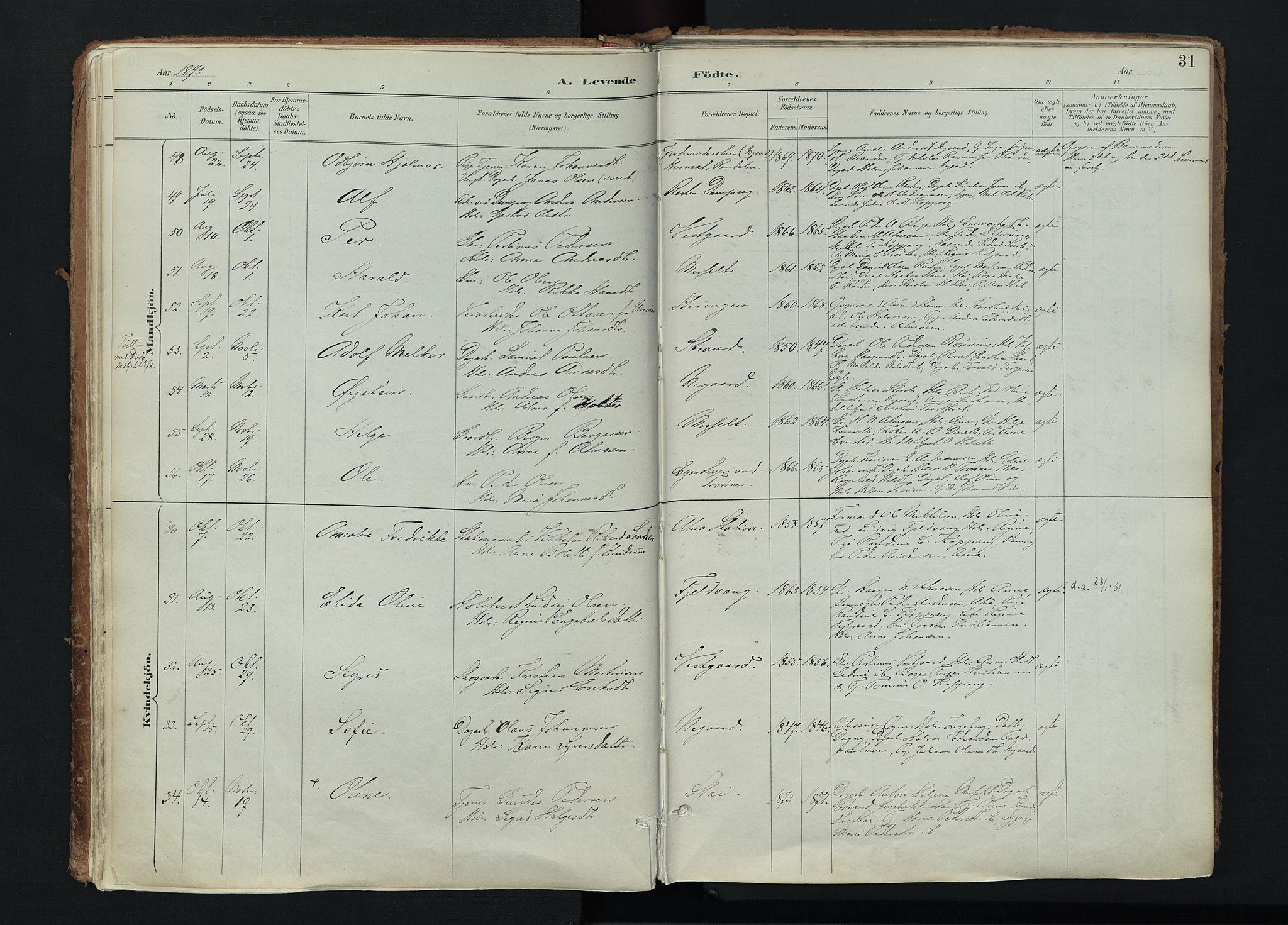 Stor-Elvdal prestekontor, AV/SAH-PREST-052/H/Ha/Haa/L0004: Ministerialbok nr. 4, 1890-1922, s. 31