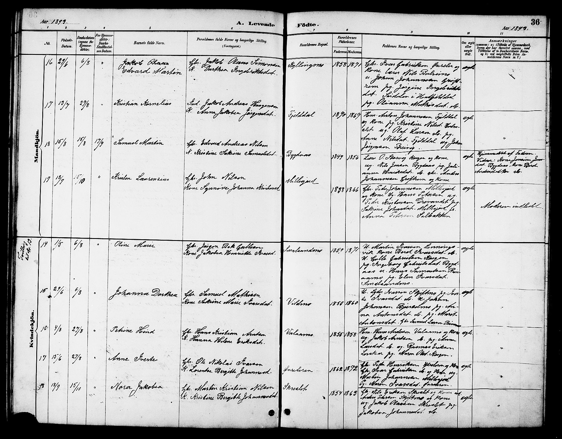 Ministerialprotokoller, klokkerbøker og fødselsregistre - Nordland, SAT/A-1459/826/L0383: Klokkerbok nr. 826C03, 1887-1896, s. 36