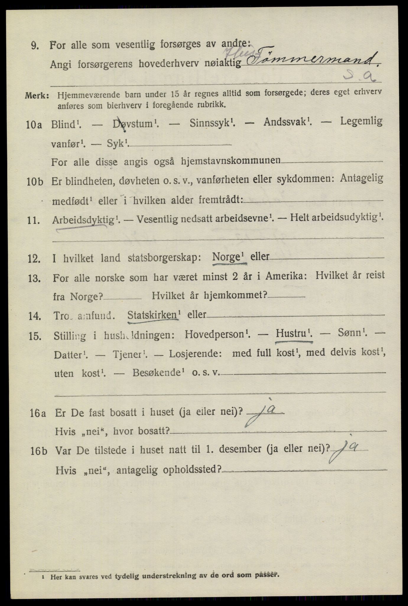 SAKO, Folketelling 1920 for 0815 Skåtøy herred, 1920, s. 2943