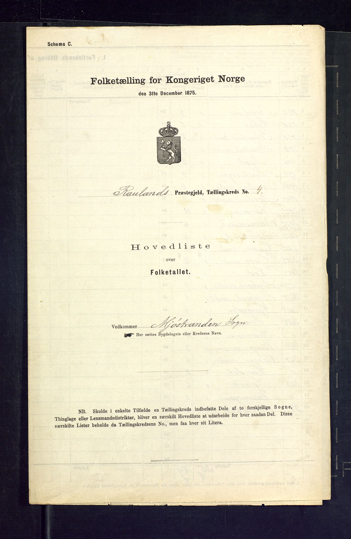 SAKO, Folketelling 1875 for 0835P Rauland prestegjeld, 1875, s. 14