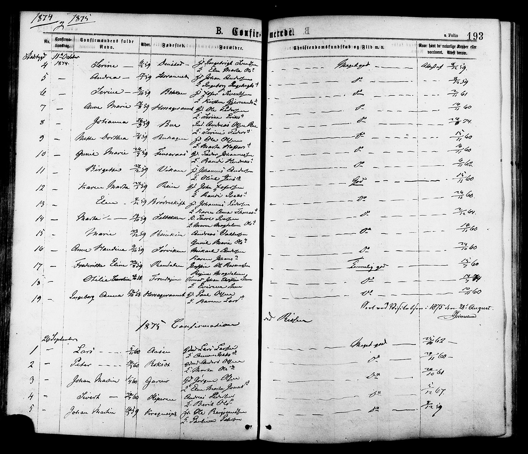 Ministerialprotokoller, klokkerbøker og fødselsregistre - Sør-Trøndelag, SAT/A-1456/646/L0613: Ministerialbok nr. 646A11, 1870-1884, s. 193