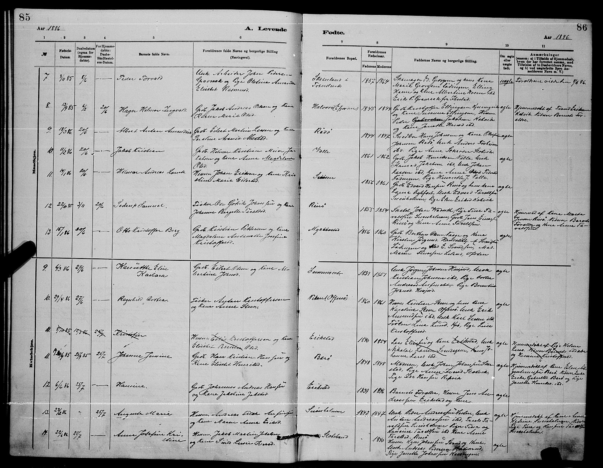 Ministerialprotokoller, klokkerbøker og fødselsregistre - Nordland, AV/SAT-A-1459/872/L1047: Klokkerbok nr. 872C03, 1880-1897, s. 85-86