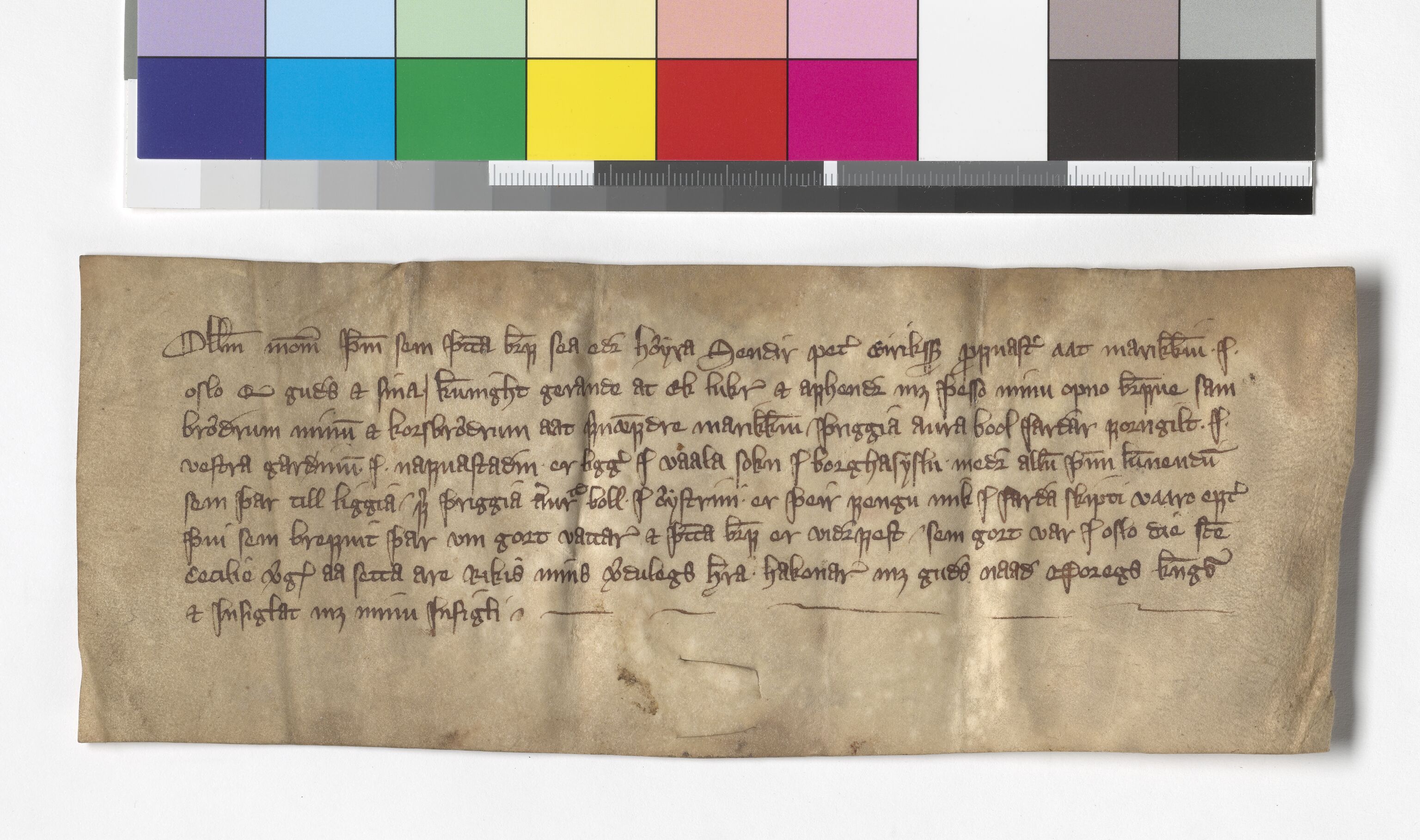 Riksarkivets diplomsamling, AV/RA-EA-5965/F05/L0171: NRA AM fasc. 68 nr. 7 - fasc. 69 nr. 10, 1357-1360, s. 17
