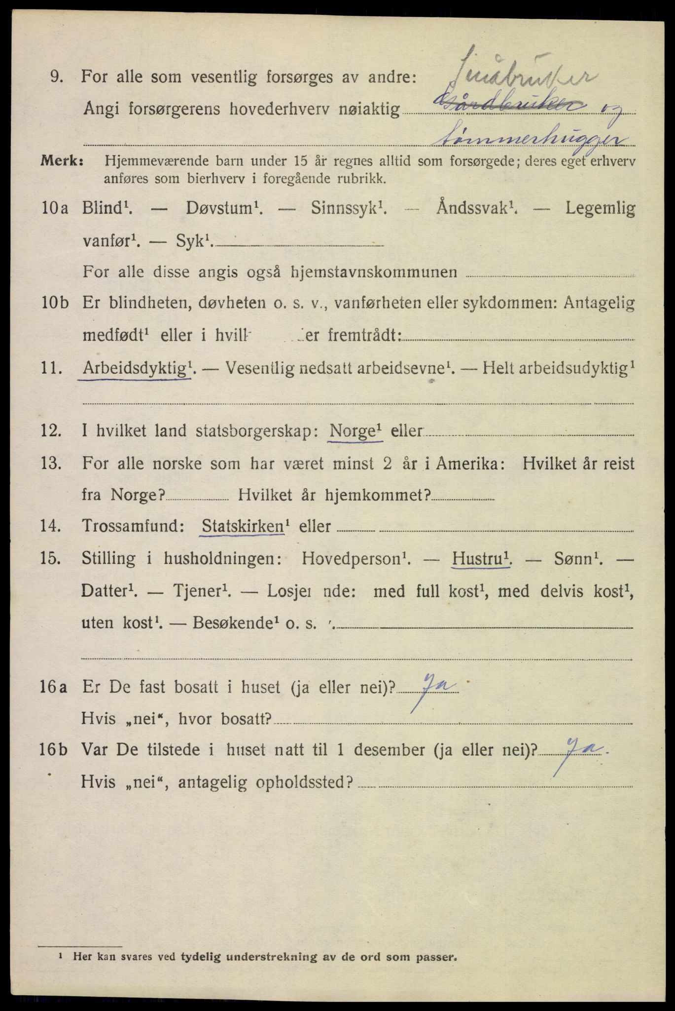 SAH, Folketelling 1920 for 0425 Åsnes herred, 1920, s. 11519