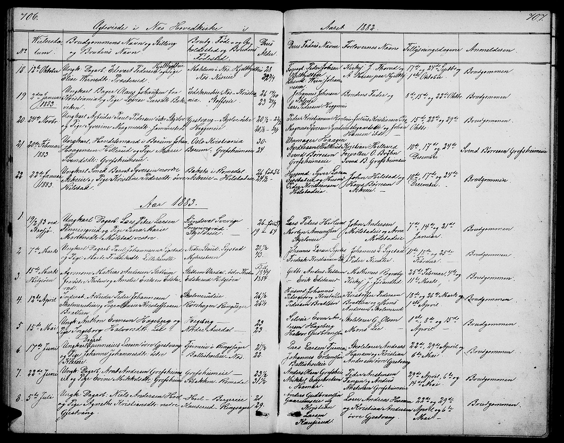 Nes prestekontor, Hedmark, AV/SAH-PREST-020/L/La/L0005: Klokkerbok nr. 5, 1852-1889, s. 706-707