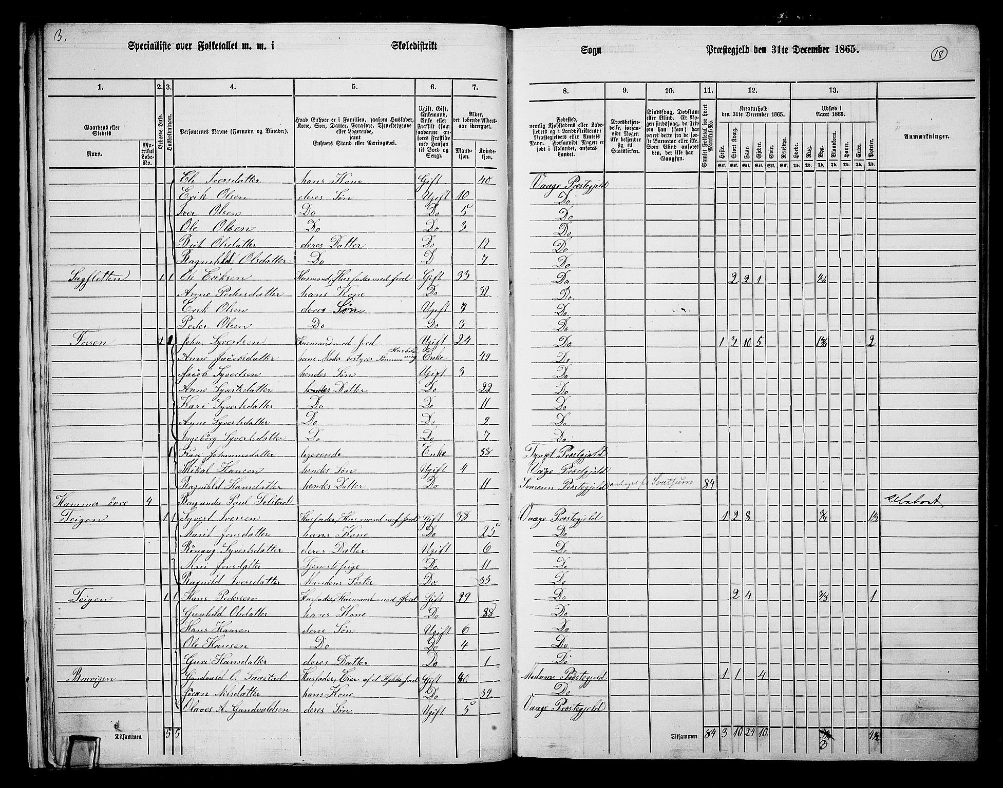 RA, Folketelling 1865 for 0515P Vågå prestegjeld, 1865, s. 15