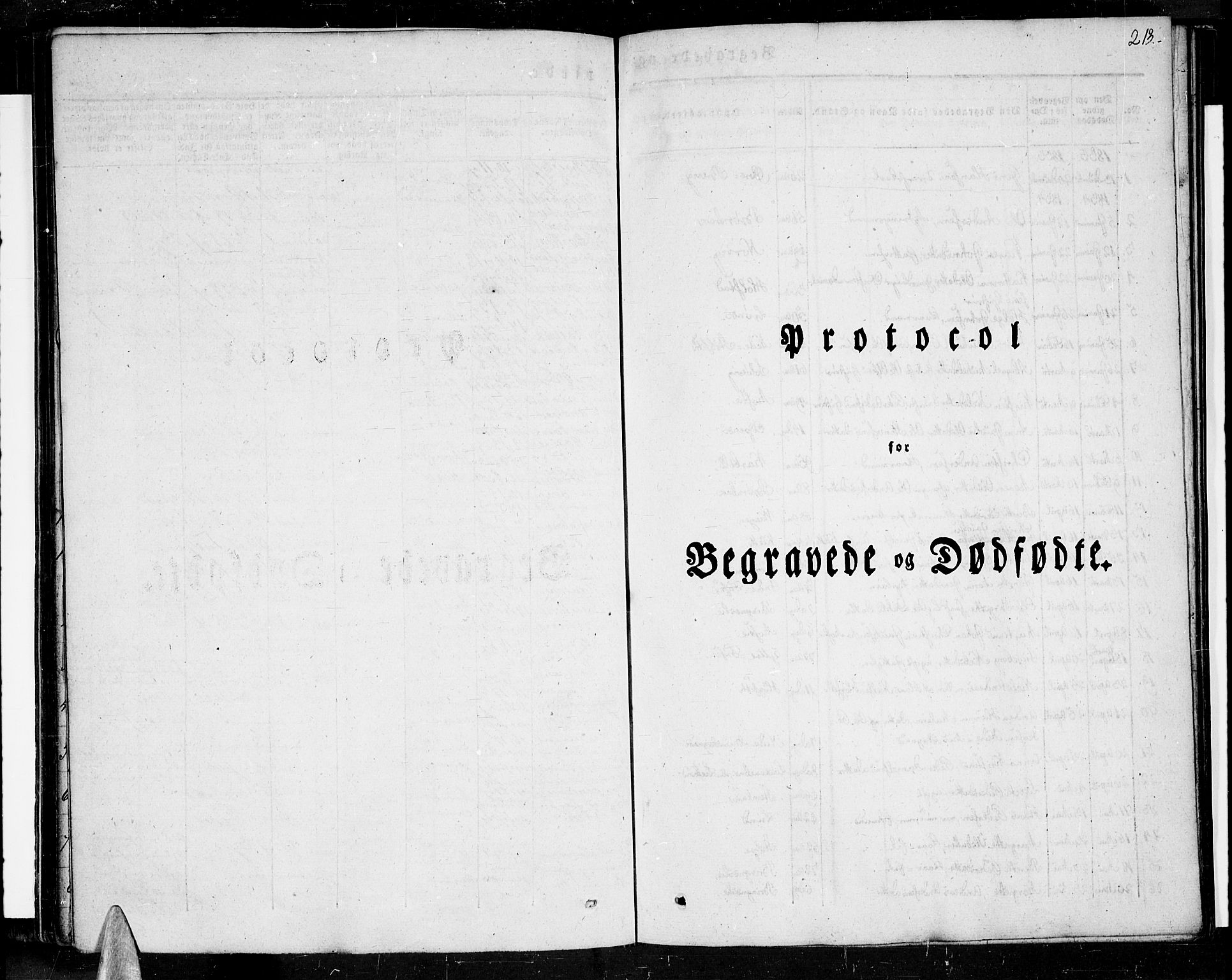 Ministerialprotokoller, klokkerbøker og fødselsregistre - Nordland, SAT/A-1459/852/L0737: Ministerialbok nr. 852A07, 1833-1849, s. 213