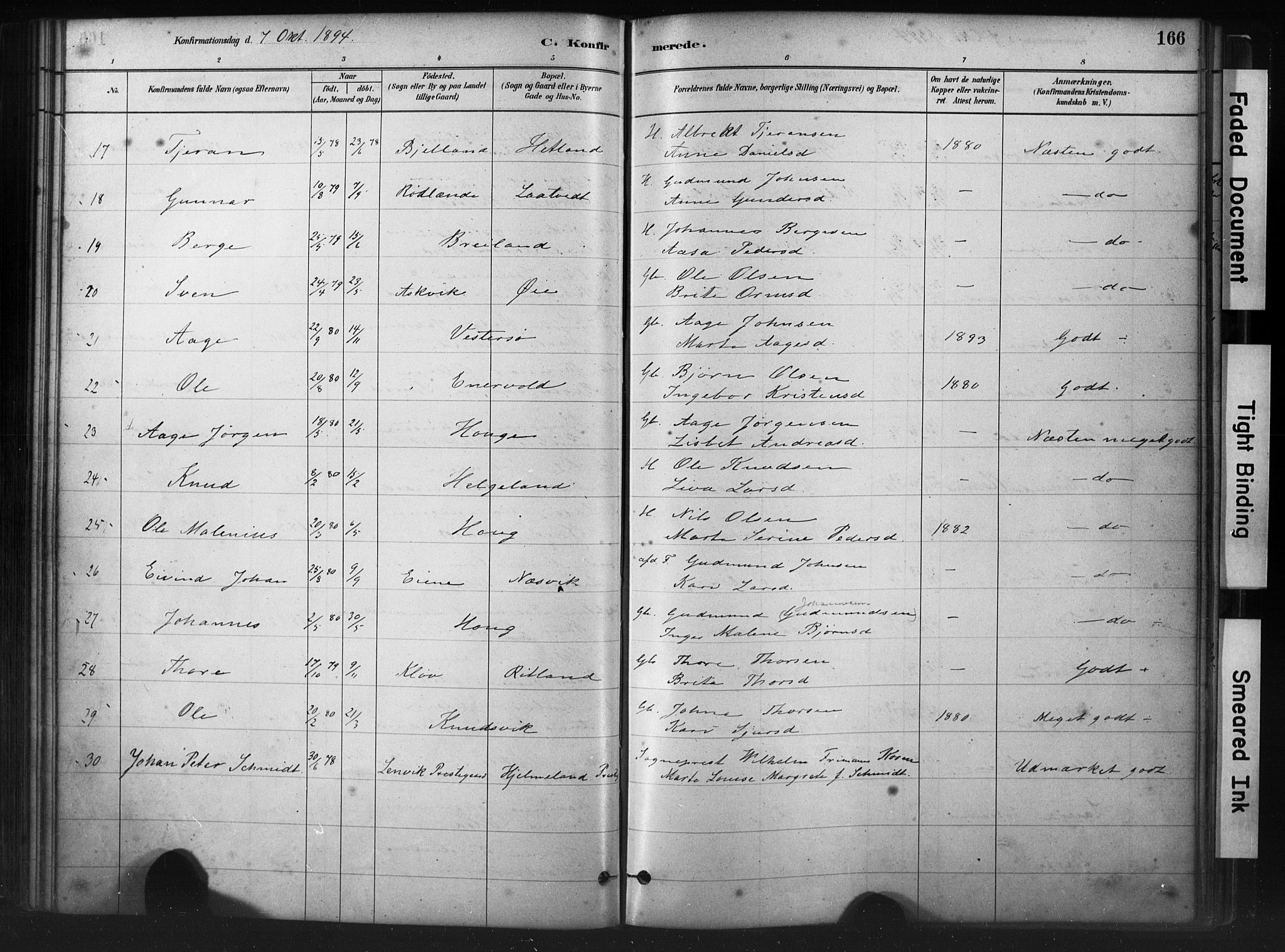 Hjelmeland sokneprestkontor, AV/SAST-A-101843/01/IV/L0014: Ministerialbok nr. A 14, 1879-1900, s. 166