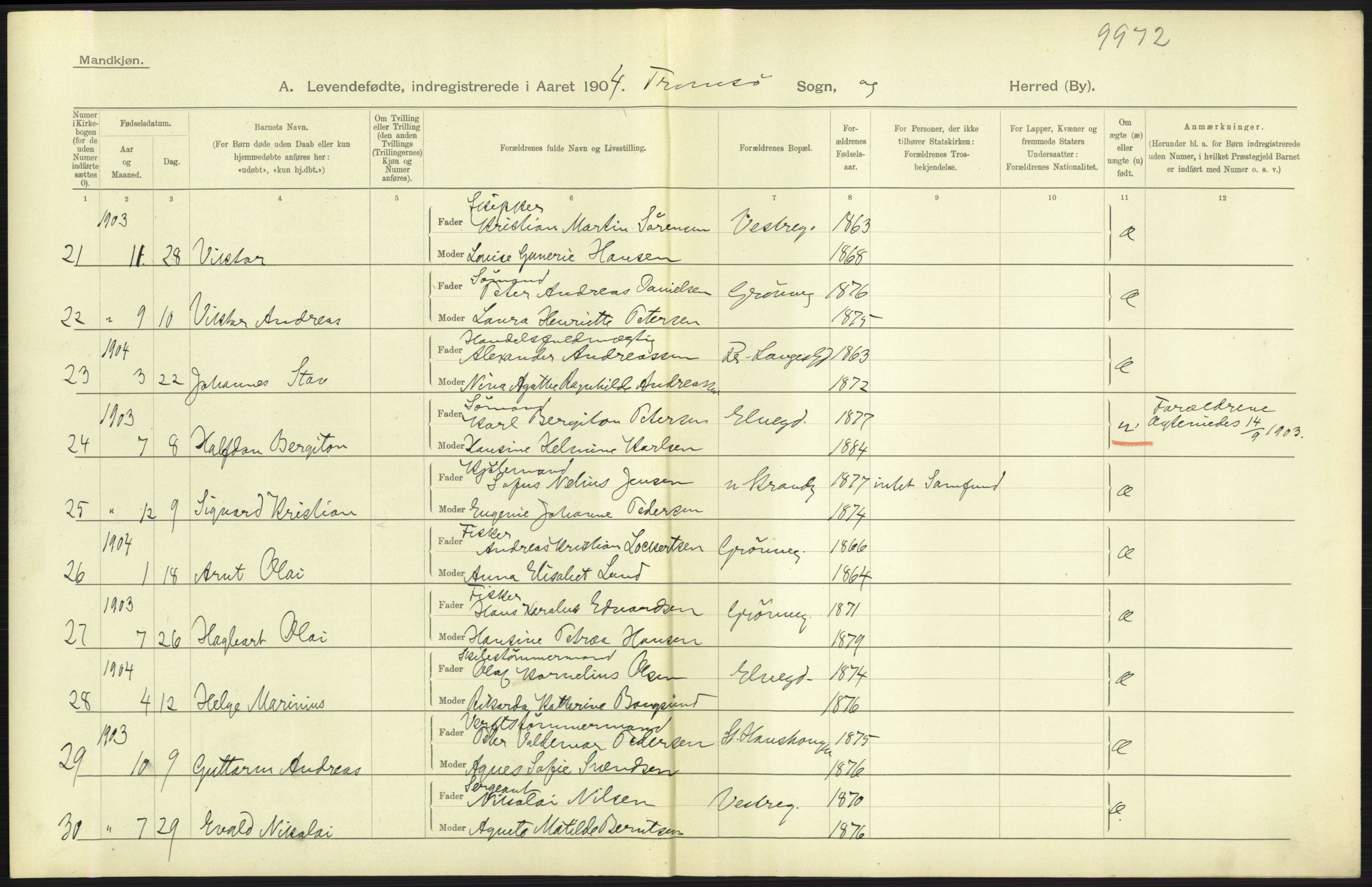 Statistisk sentralbyrå, Sosiodemografiske emner, Befolkning, AV/RA-S-2228/D/Df/Dfa/Dfab/L0022: Tromsø amt: Fødte, gifte, døde, 1904, s. 265