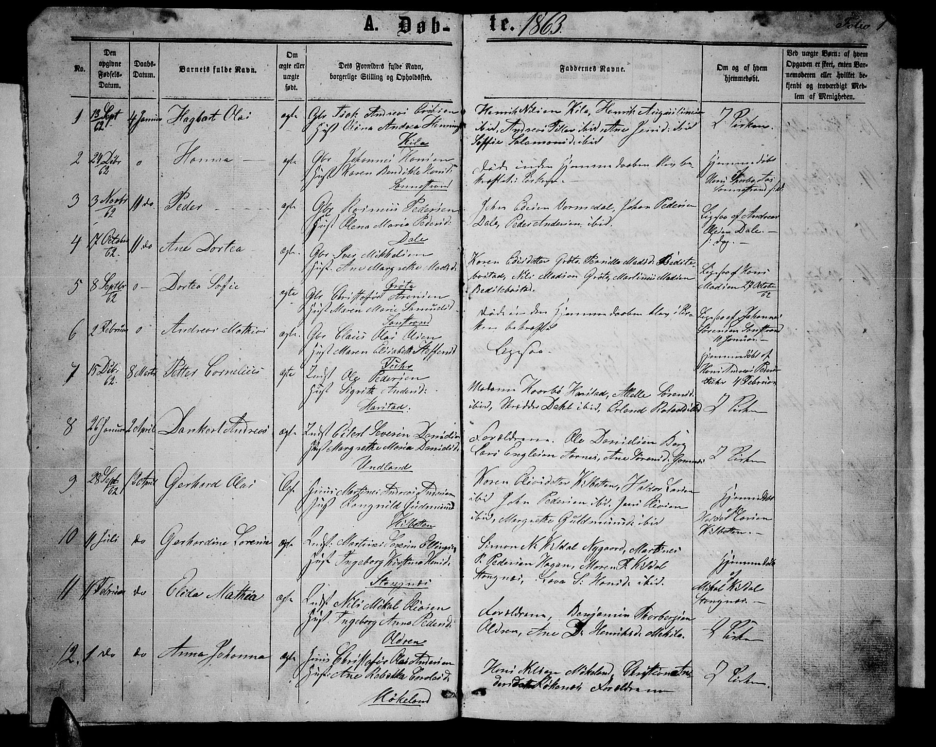 Trondenes sokneprestkontor, AV/SATØ-S-1319/H/Hb/L0008klokker: Klokkerbok nr. 8, 1863-1869, s. 1