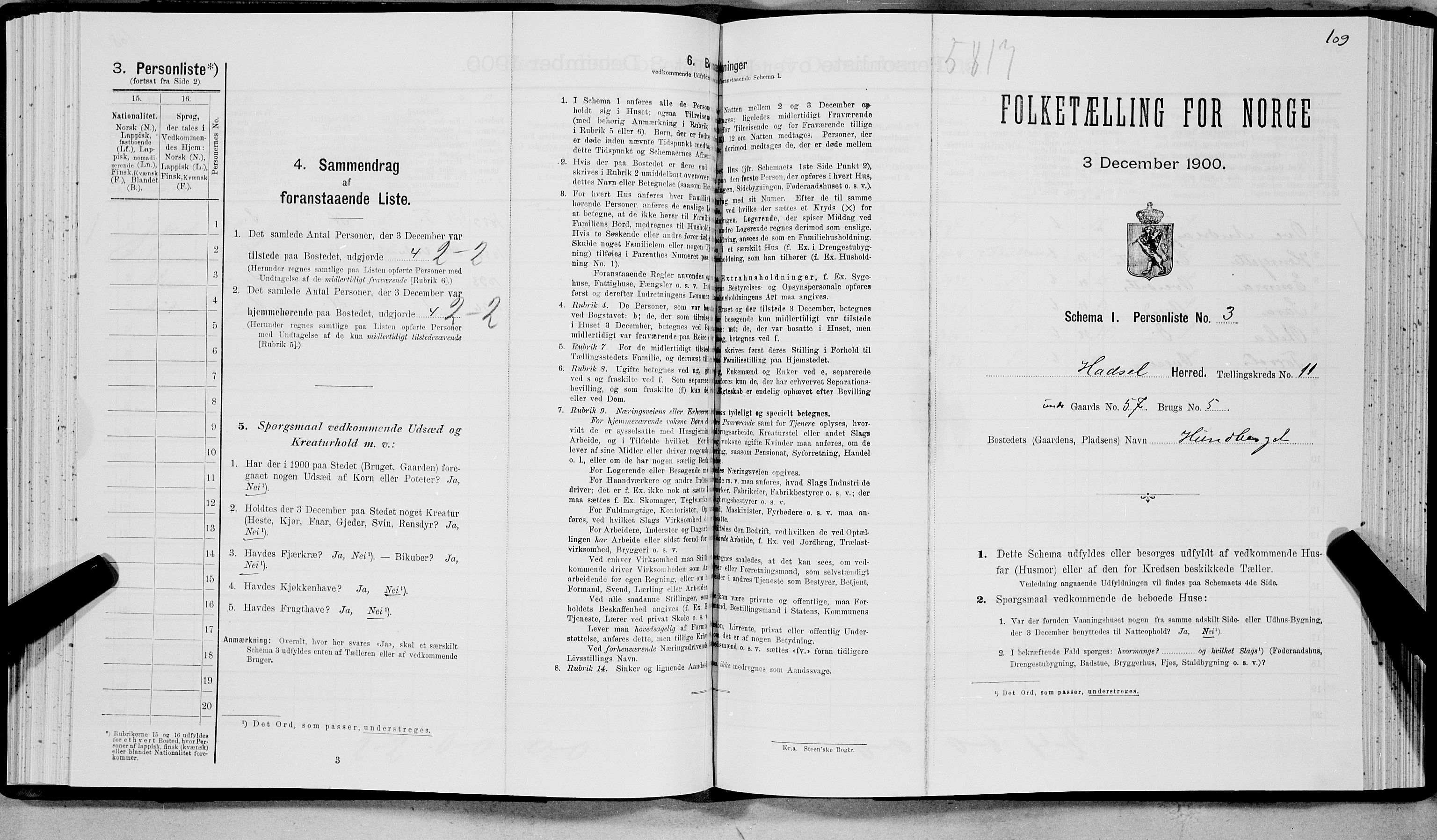 SAT, Folketelling 1900 for 1866 Hadsel herred, 1900, s. 919