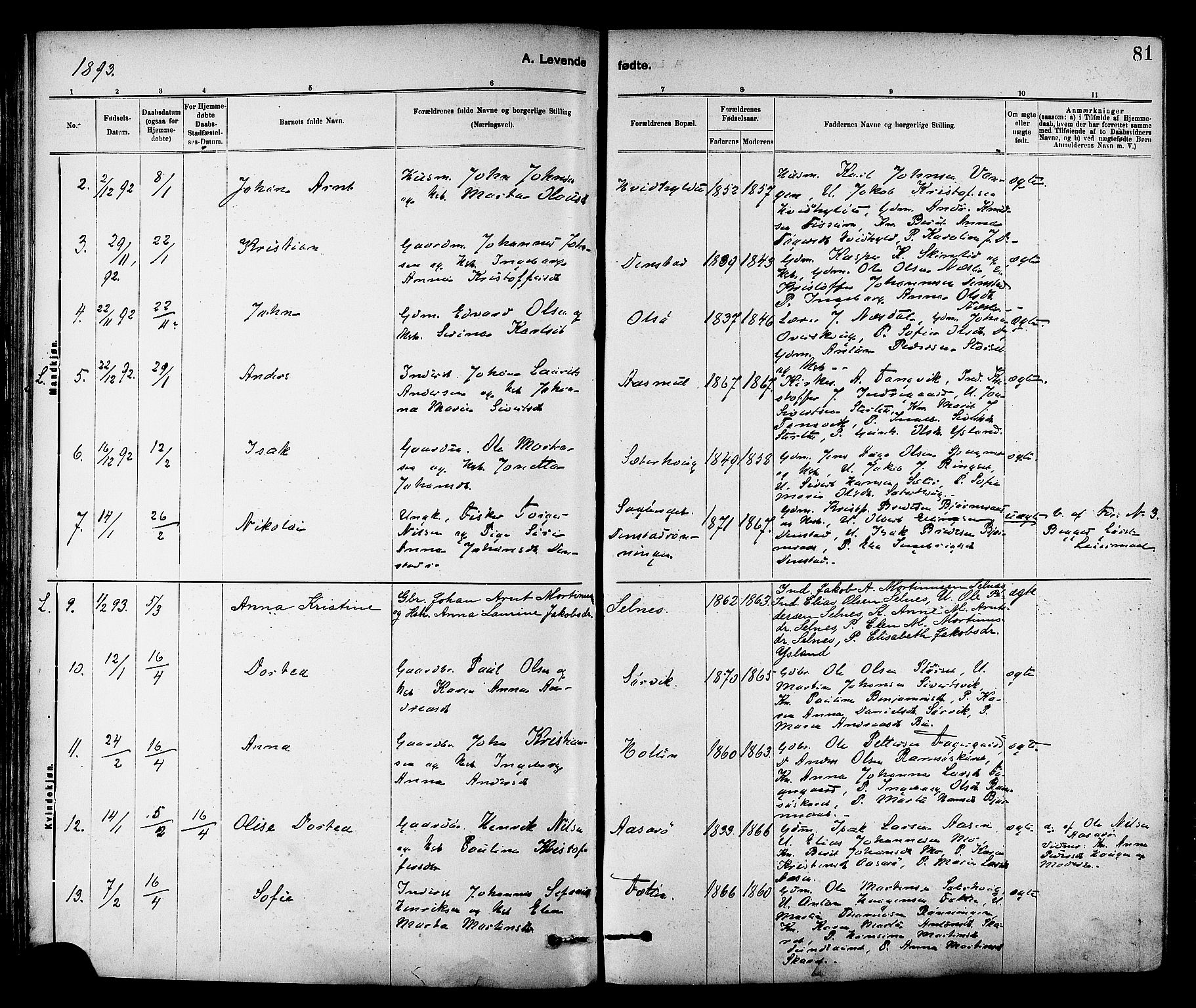 Ministerialprotokoller, klokkerbøker og fødselsregistre - Sør-Trøndelag, AV/SAT-A-1456/647/L0634: Ministerialbok nr. 647A01, 1885-1896, s. 81