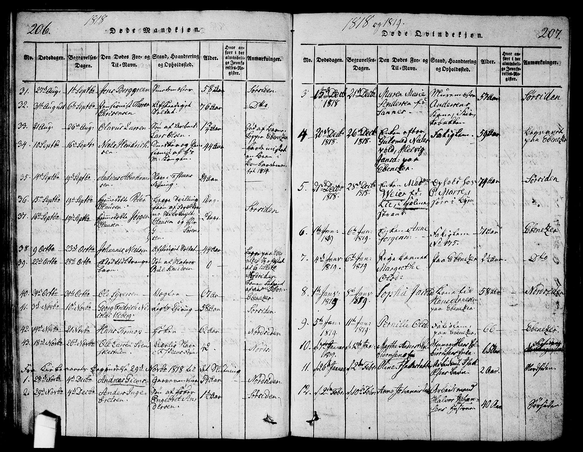 Halden prestekontor Kirkebøker, AV/SAO-A-10909/G/Ga/L0001: Klokkerbok nr. 1, 1815-1833, s. 206-207