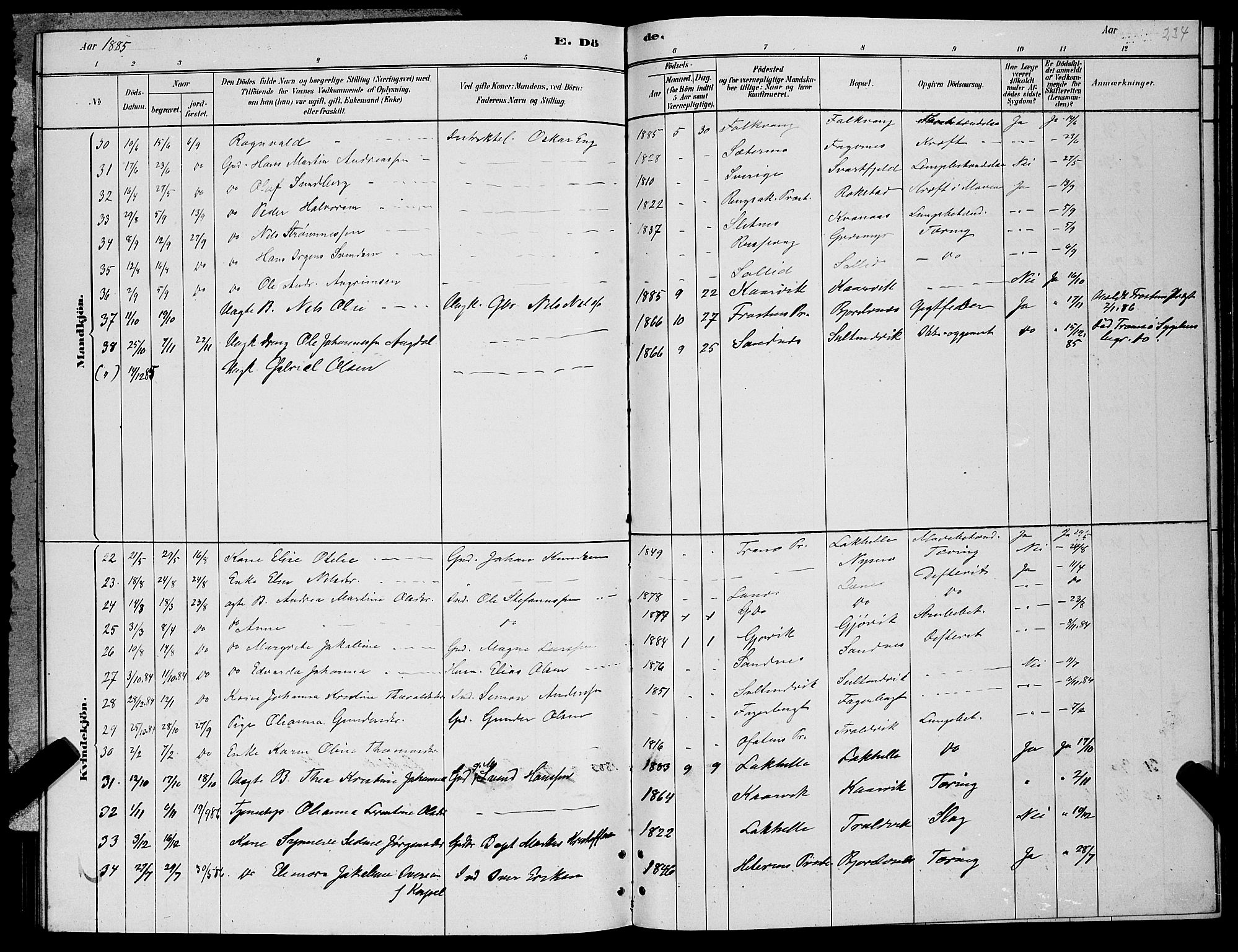 Lenvik sokneprestembete, AV/SATØ-S-1310/H/Ha/Hab/L0006klokker: Klokkerbok nr. 6, 1881-1889, s. 234