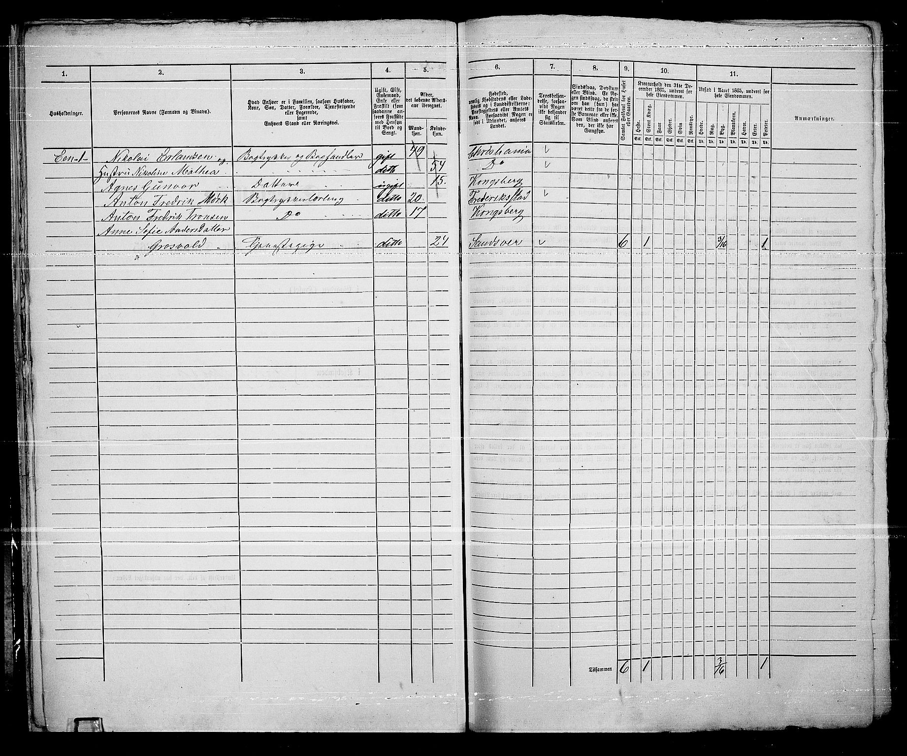 RA, Folketelling 1865 for 0604B Kongsberg prestegjeld, Kongsberg kjøpstad, 1865, s. 20
