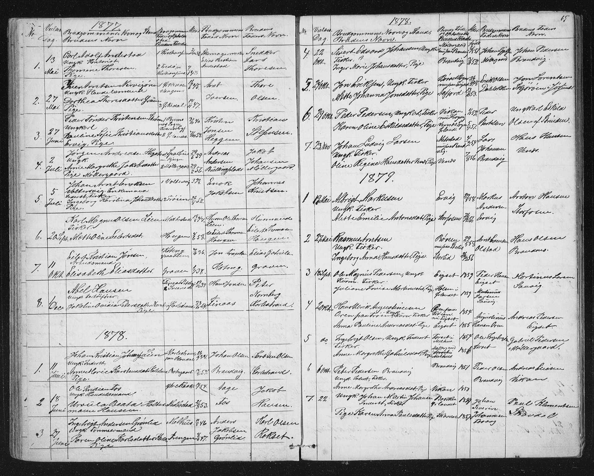 Ministerialprotokoller, klokkerbøker og fødselsregistre - Sør-Trøndelag, SAT/A-1456/651/L0647: Klokkerbok nr. 651C01, 1866-1914, s. 65