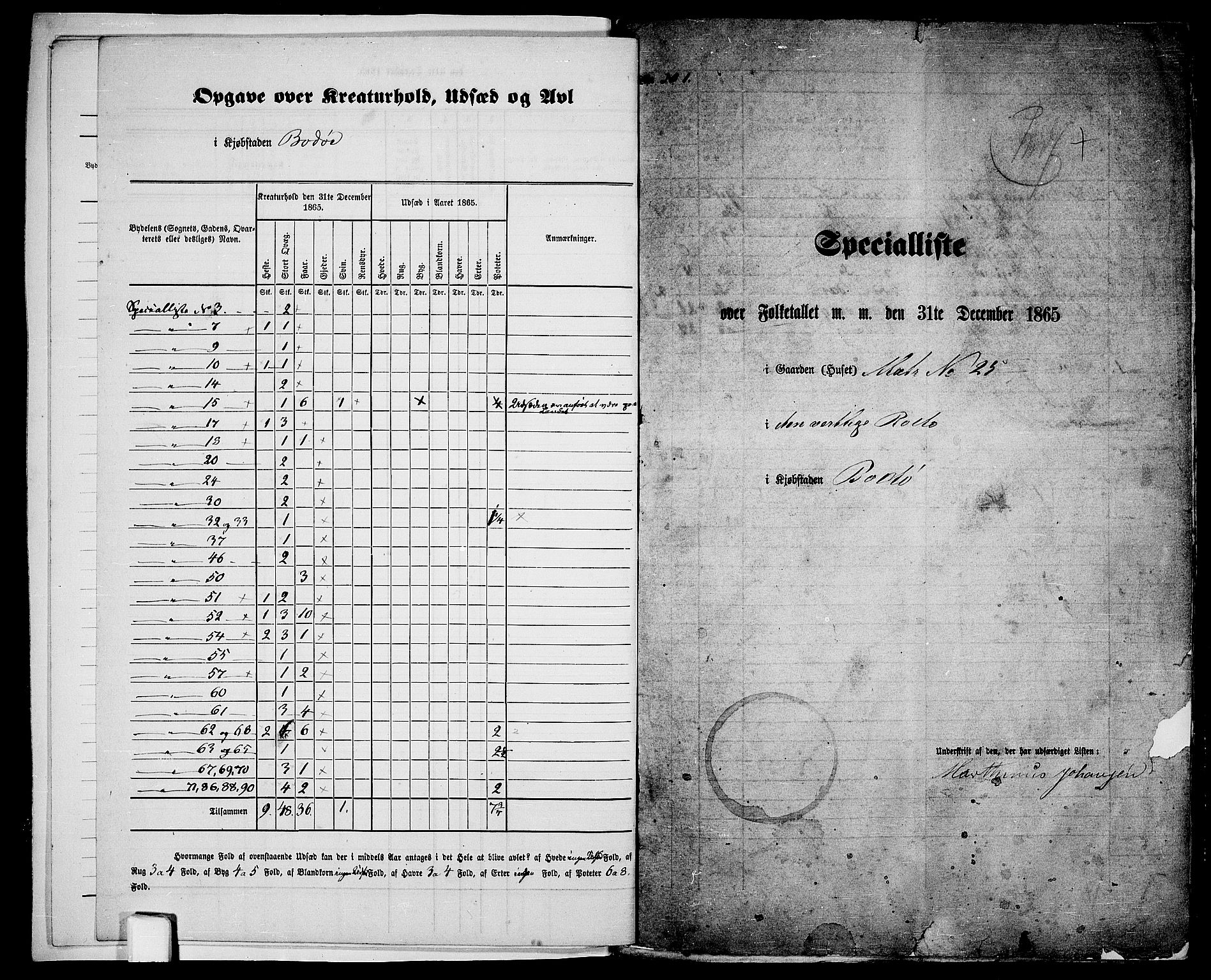 RA, Folketelling 1865 for 1804B Bodø prestegjeld, Bodø kjøpstad, 1865, s. 5