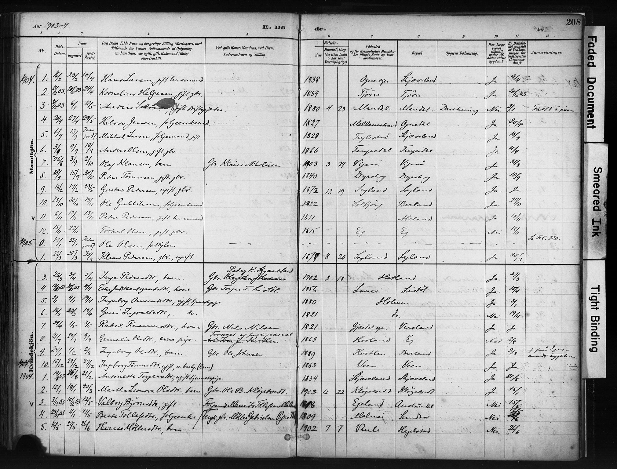 Helleland sokneprestkontor, SAST/A-101810: Ministerialbok nr. A 9, 1887-1908, s. 208