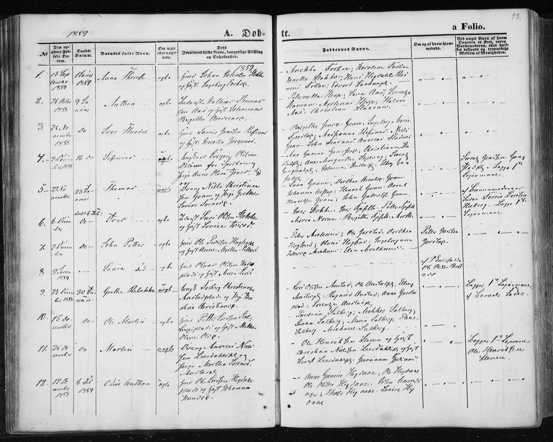 Ministerialprotokoller, klokkerbøker og fødselsregistre - Nord-Trøndelag, AV/SAT-A-1458/730/L0283: Ministerialbok nr. 730A08, 1855-1865, s. 43