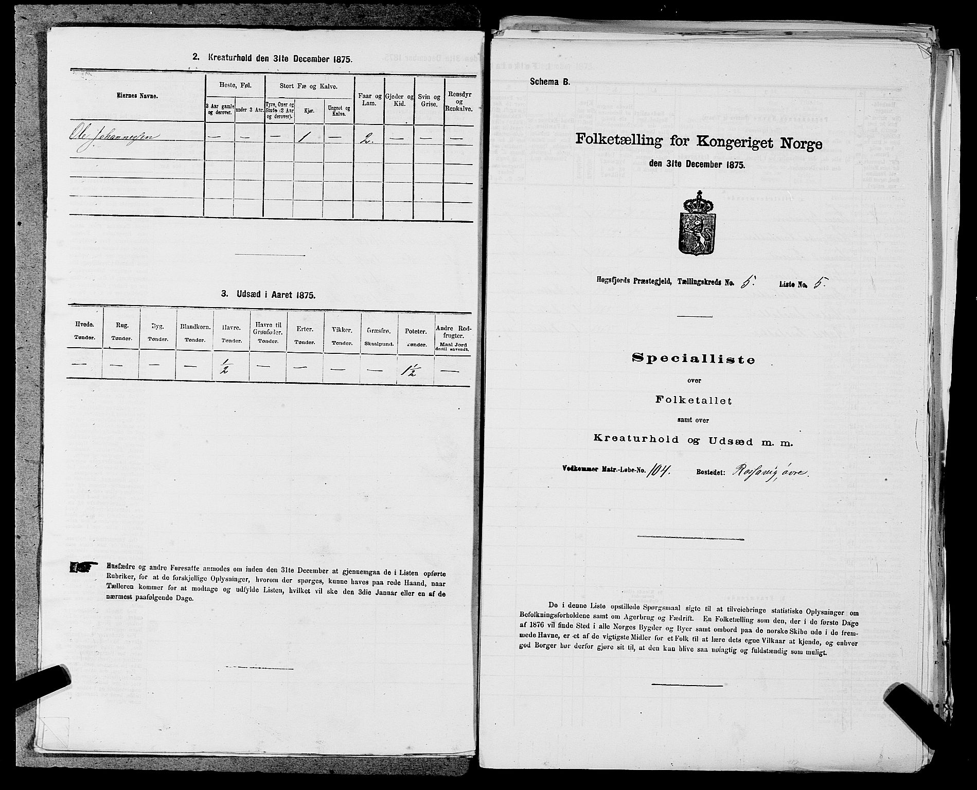 SAST, Folketelling 1875 for 1128P Høgsfjord prestegjeld, 1875, s. 429