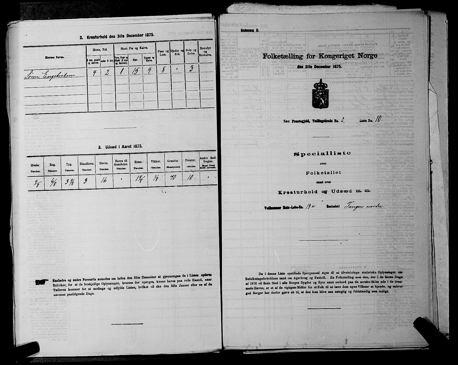 RA, Folketelling 1875 for 0236P Nes prestegjeld, 1875, s. 318