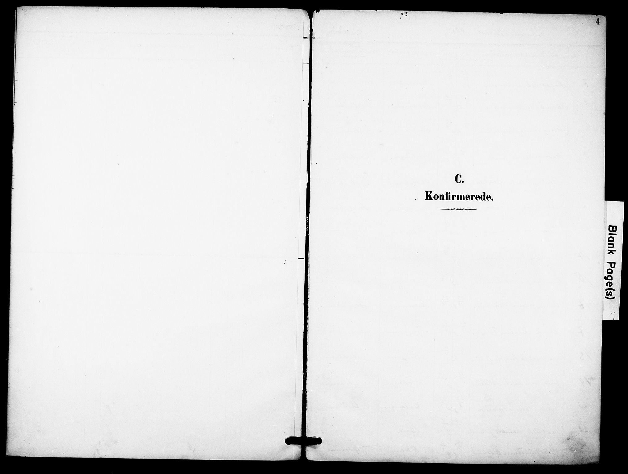 Brunlanes kirkebøker, SAKO/A-342/F/Fb/L0002: Ministerialbok nr. II 2, 1895-1899, s. 4