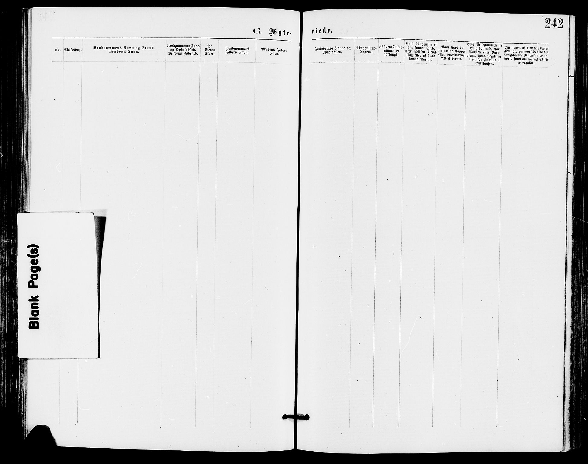 Stor-Elvdal prestekontor, SAH/PREST-052/H/Ha/Haa/L0001: Ministerialbok nr. 1, 1871-1882, s. 242