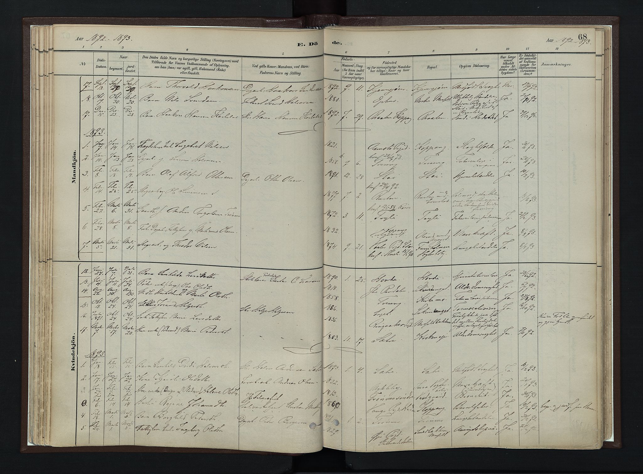 Stor-Elvdal prestekontor, AV/SAH-PREST-052/H/Ha/Haa/L0003: Ministerialbok nr. 3, 1882-1901, s. 68