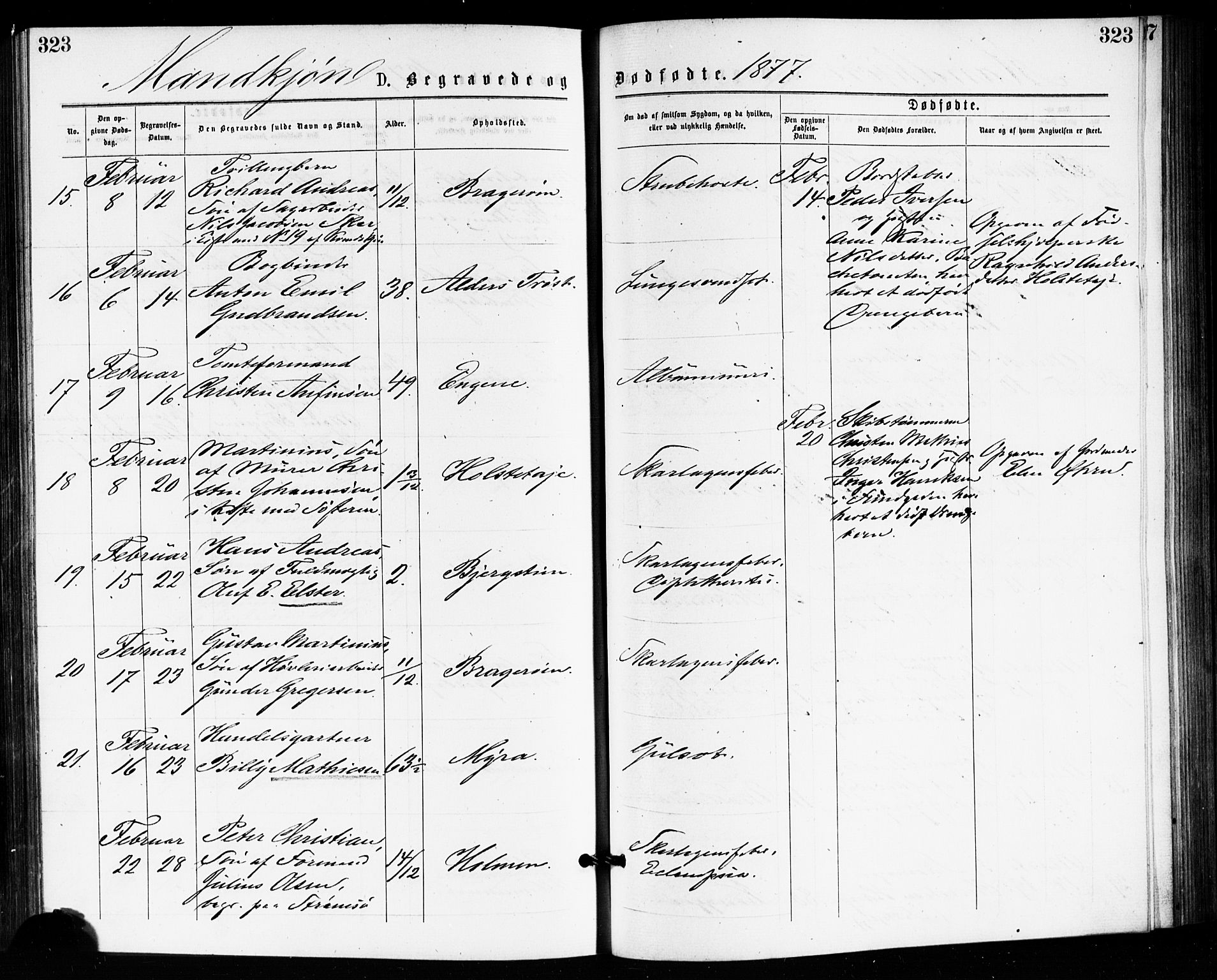 Bragernes kirkebøker, AV/SAKO-A-6/F/Fb/L0005: Ministerialbok nr. II 5, 1875-1877, s. 323