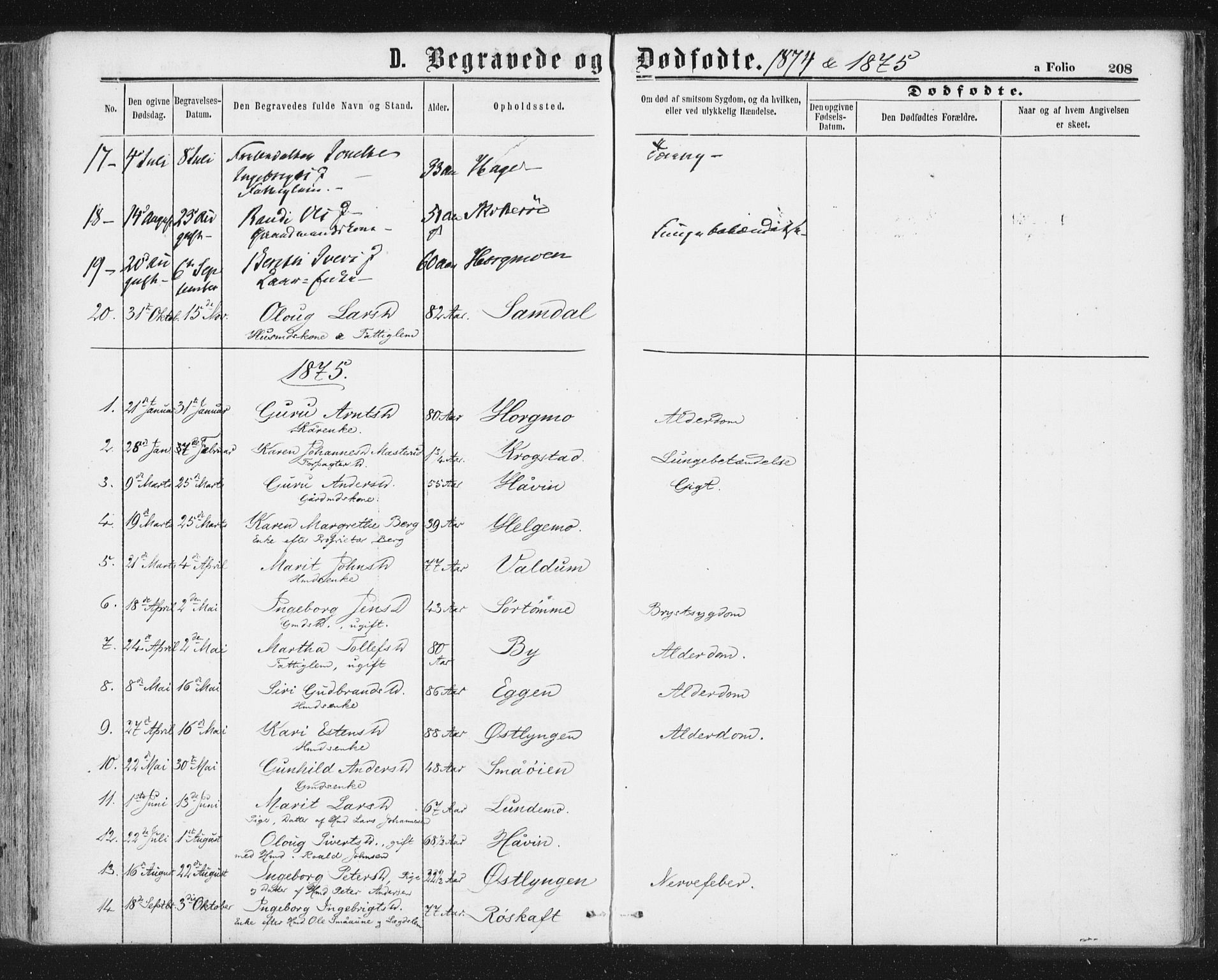 Ministerialprotokoller, klokkerbøker og fødselsregistre - Sør-Trøndelag, SAT/A-1456/692/L1104: Ministerialbok nr. 692A04, 1862-1878, s. 208