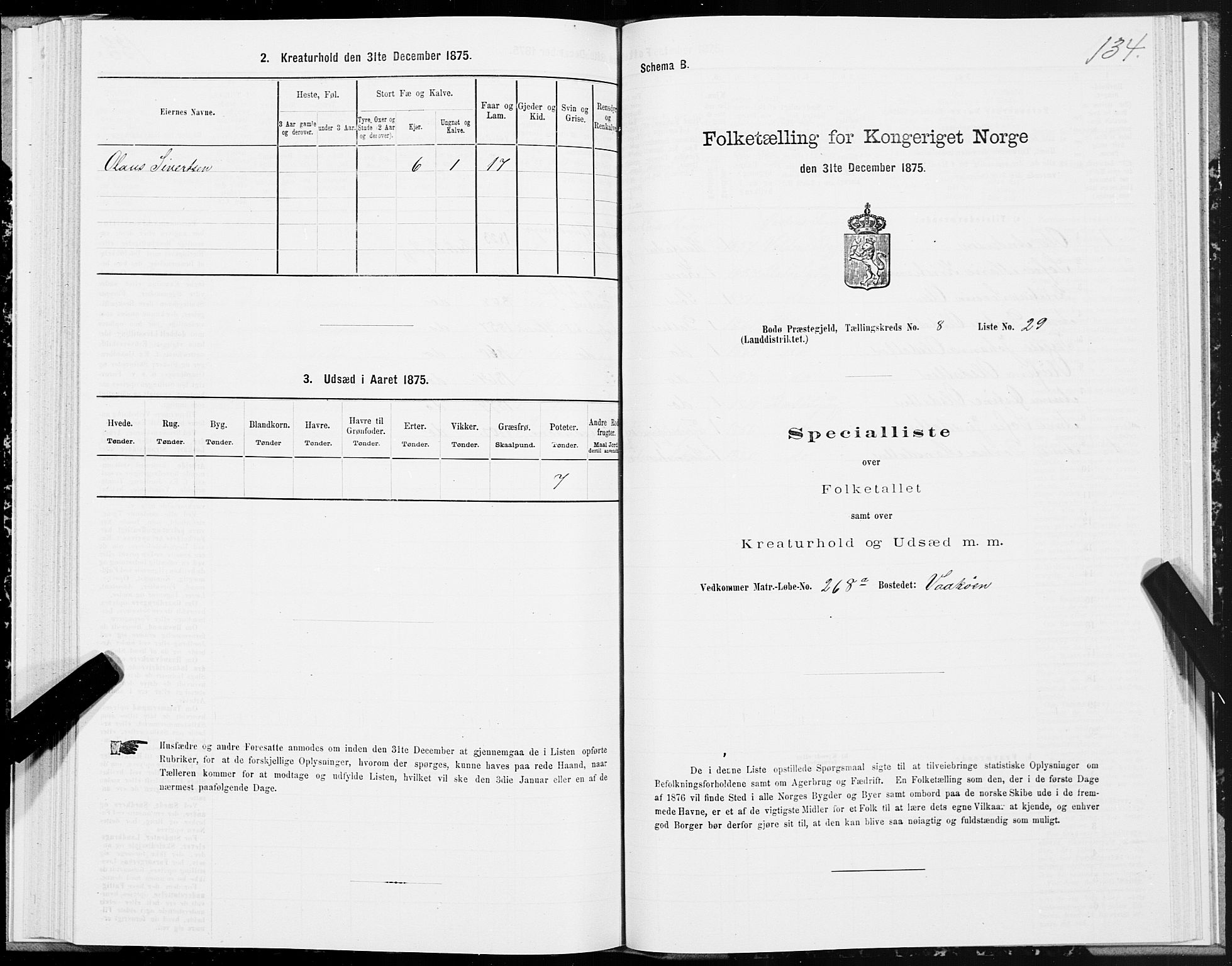 SAT, Folketelling 1875 for 1843L Bodø prestegjeld, Bodø landsokn, 1875, s. 4134