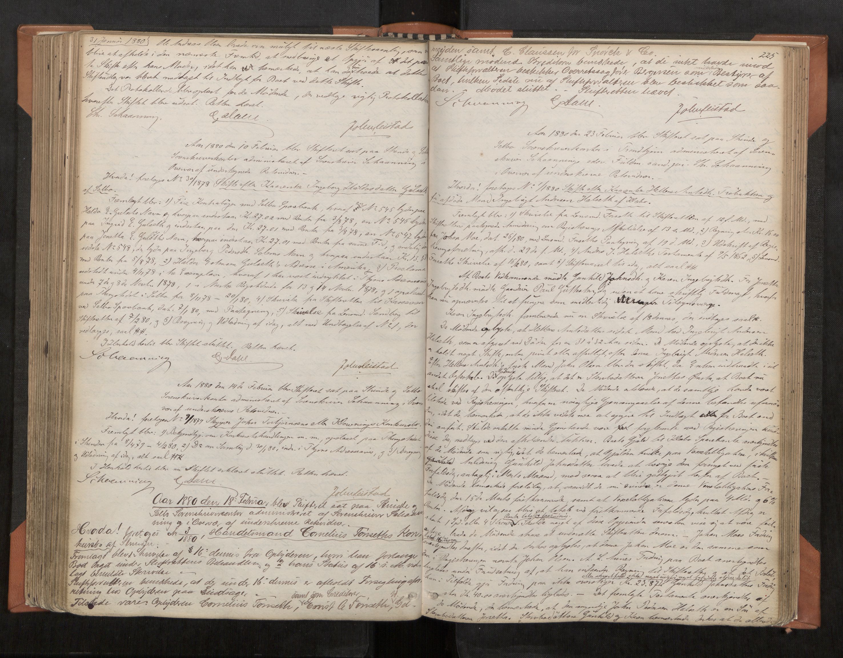 Strinda og Selbu sorenskriveri, AV/SAT-A-0015/3/3B/L0004: Skifteforhandlingsprot. 4 4, 1866-1883, s. 225