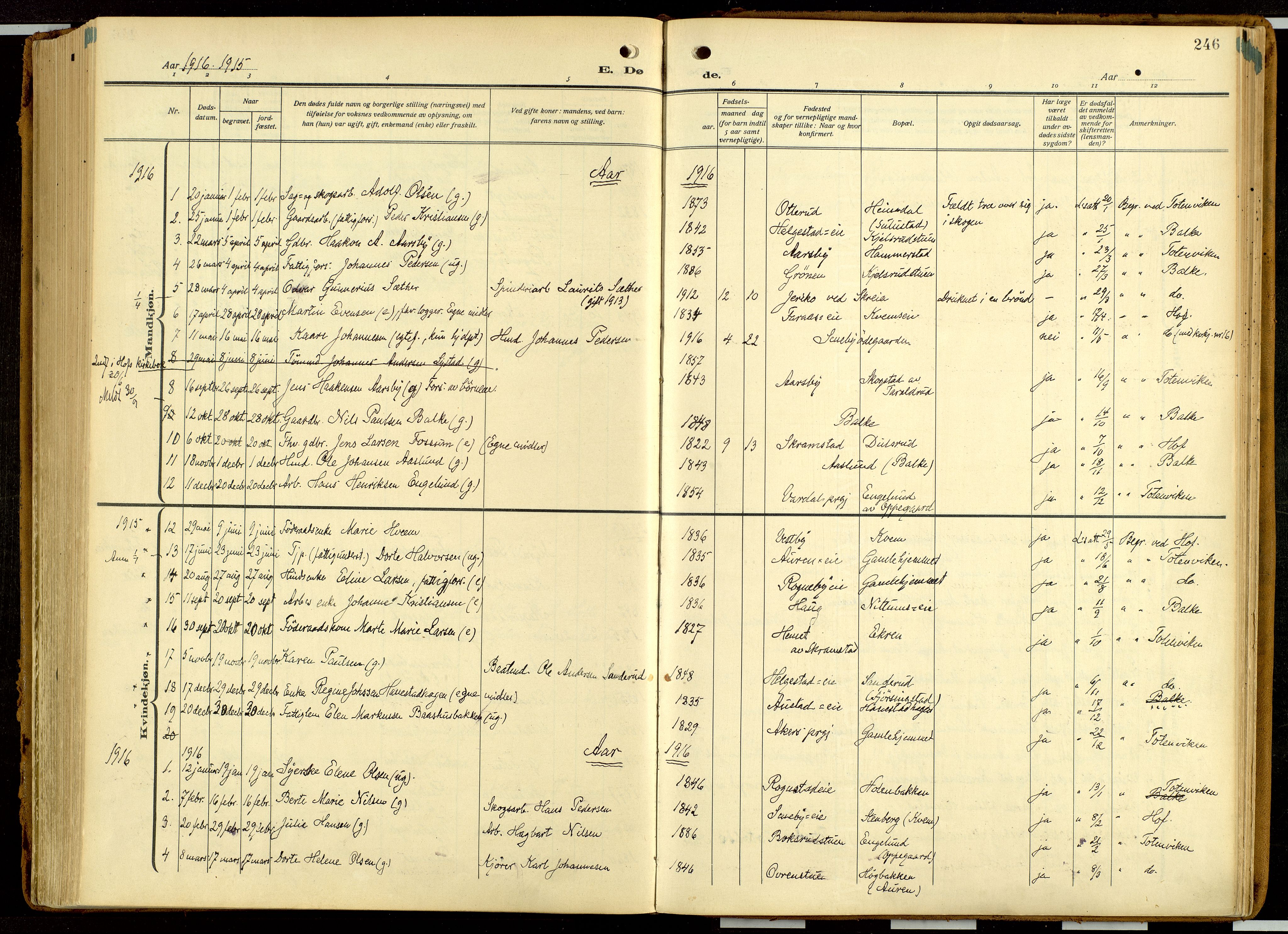 Balke prestekontor, AV/SAH-PREST-106/H/Ha/Haa/L0001: Ministerialbok nr. 1, 1914-1932, s. 246
