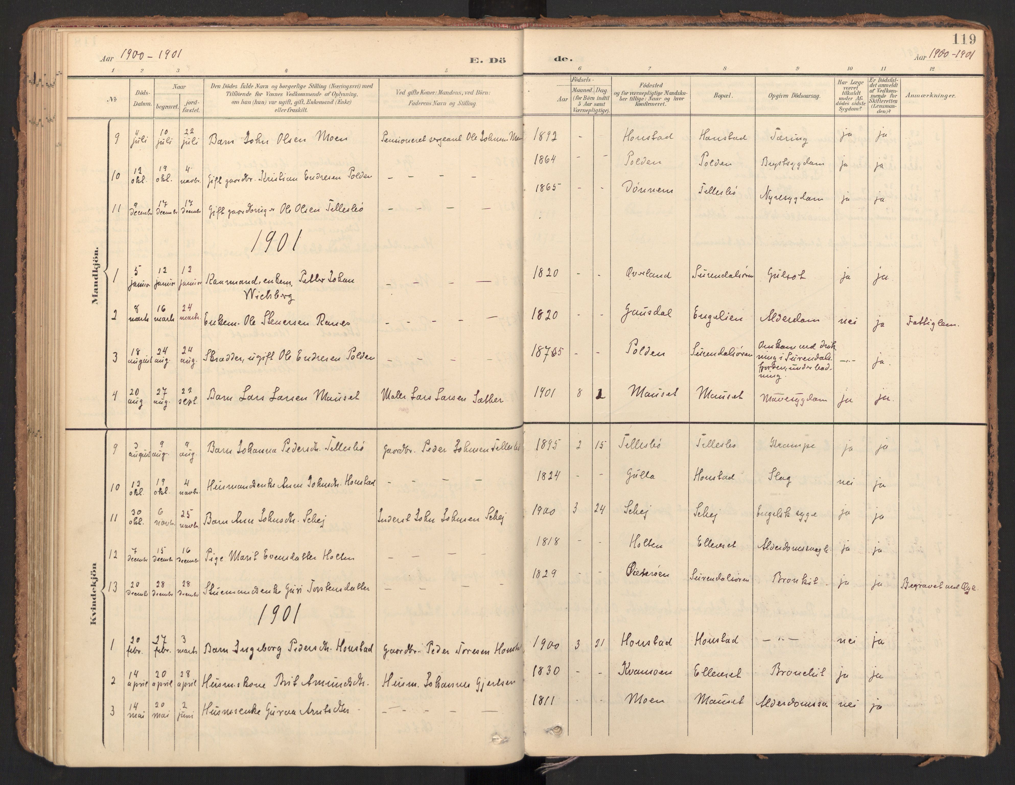 Ministerialprotokoller, klokkerbøker og fødselsregistre - Møre og Romsdal, AV/SAT-A-1454/596/L1057: Ministerialbok nr. 596A02, 1900-1917, s. 119
