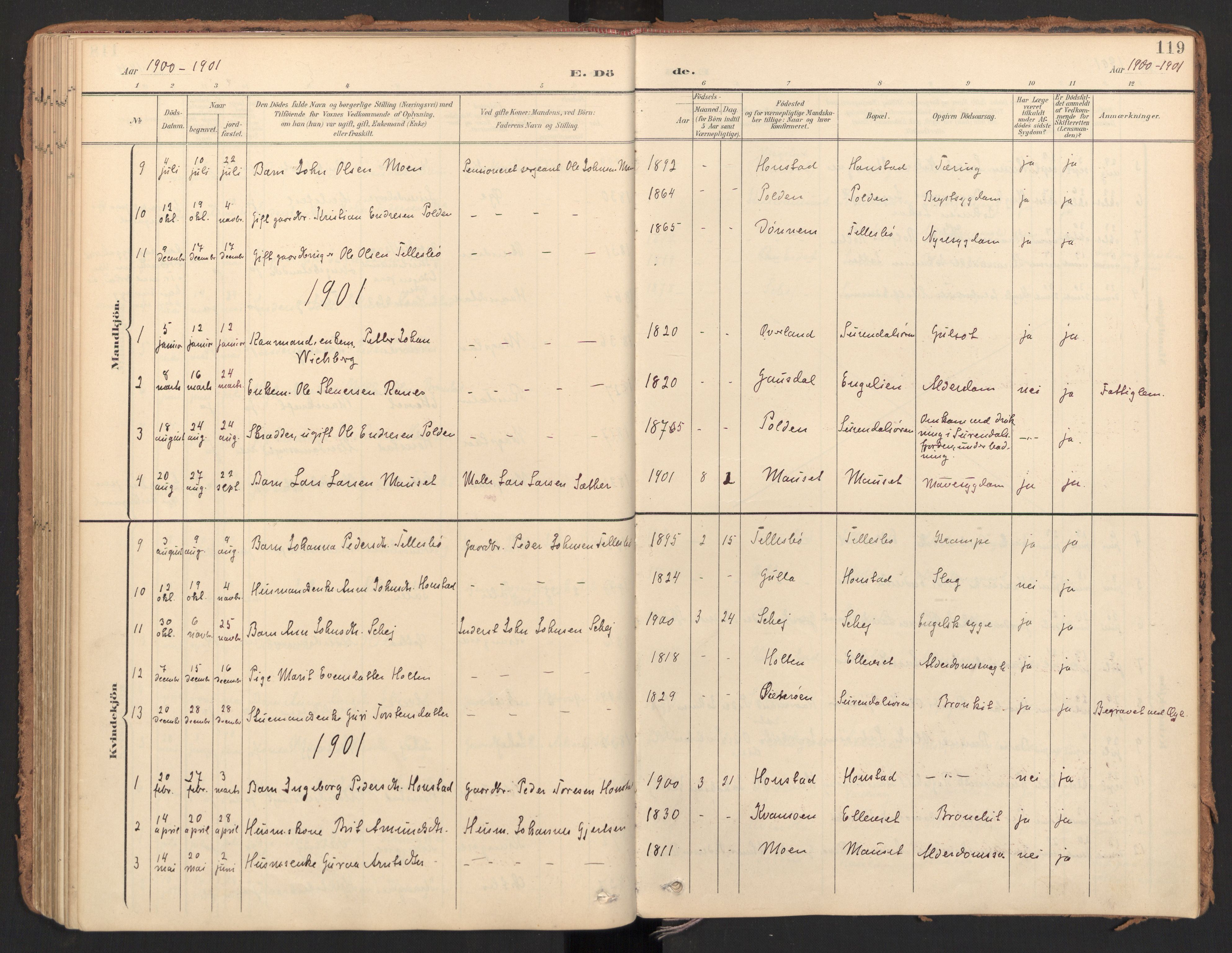 Ministerialprotokoller, klokkerbøker og fødselsregistre - Møre og Romsdal, SAT/A-1454/596/L1057: Ministerialbok nr. 596A02, 1900-1917, s. 119