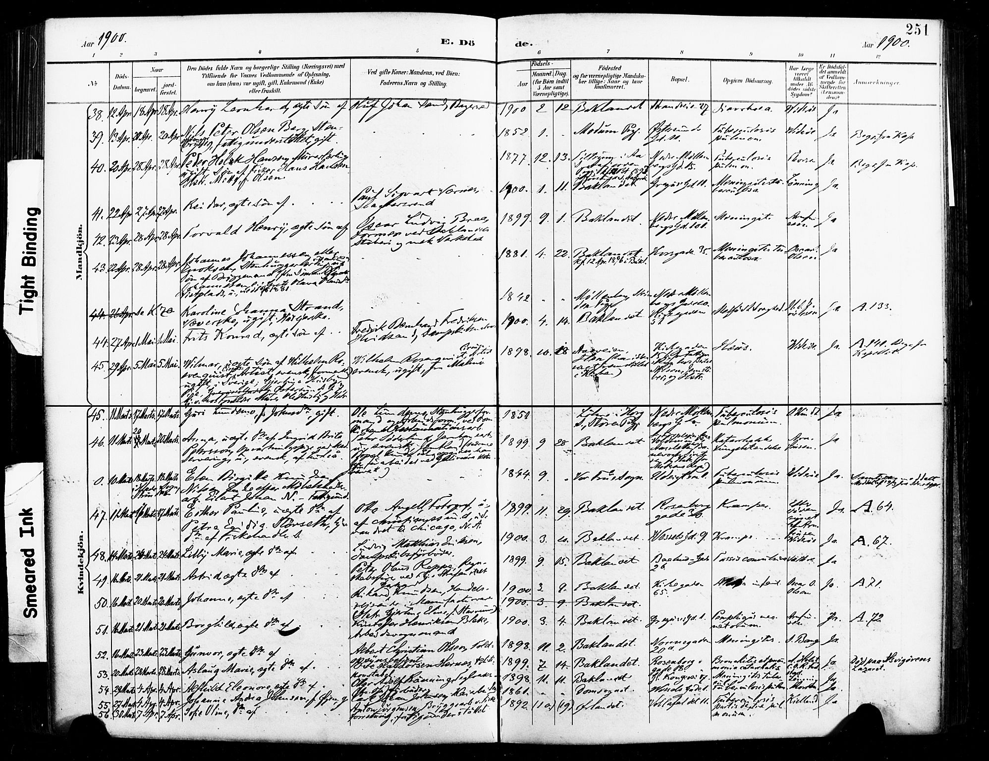 Ministerialprotokoller, klokkerbøker og fødselsregistre - Sør-Trøndelag, SAT/A-1456/604/L0198: Ministerialbok nr. 604A19, 1893-1900, s. 251