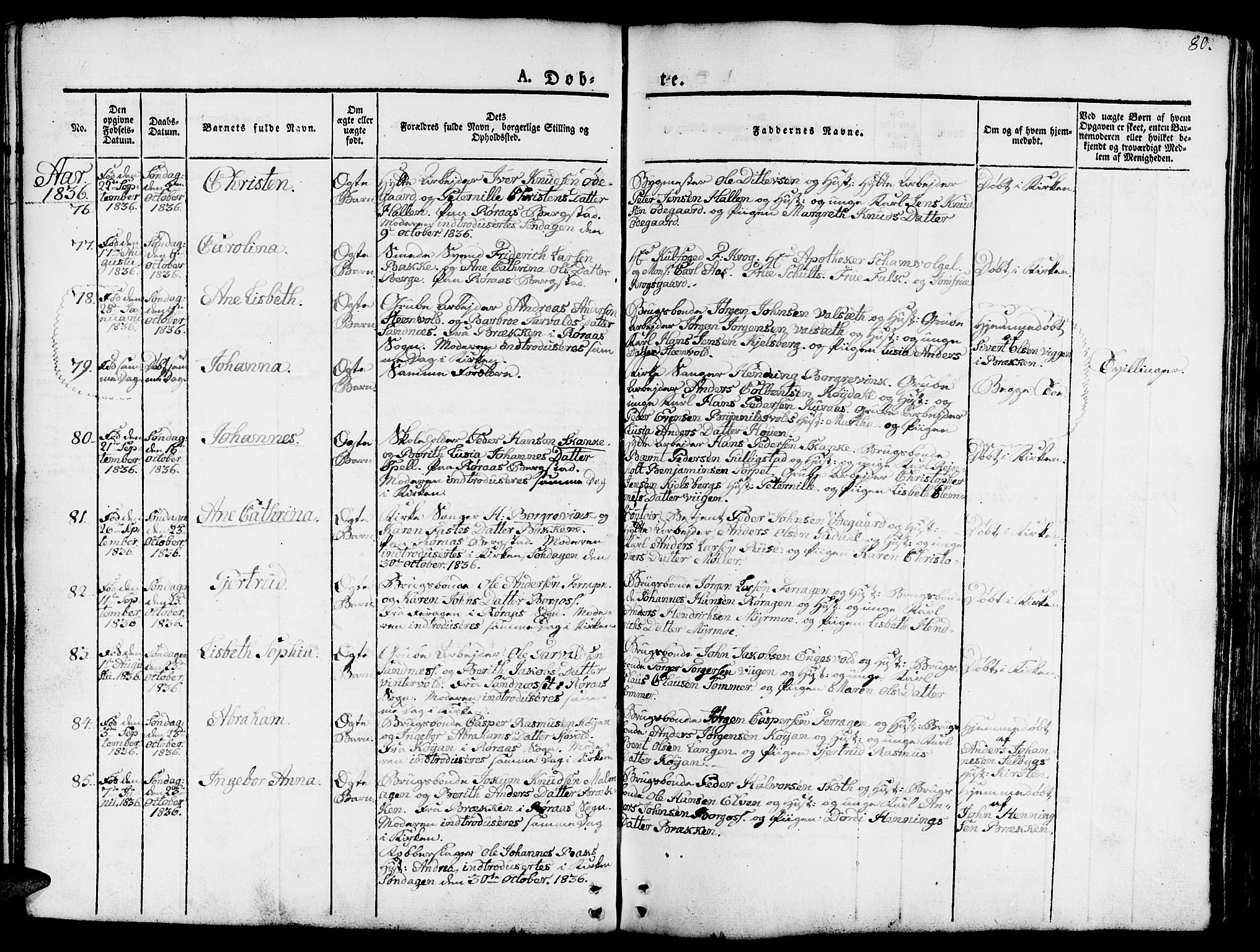 Ministerialprotokoller, klokkerbøker og fødselsregistre - Sør-Trøndelag, SAT/A-1456/681/L0938: Klokkerbok nr. 681C02, 1829-1879, s. 80