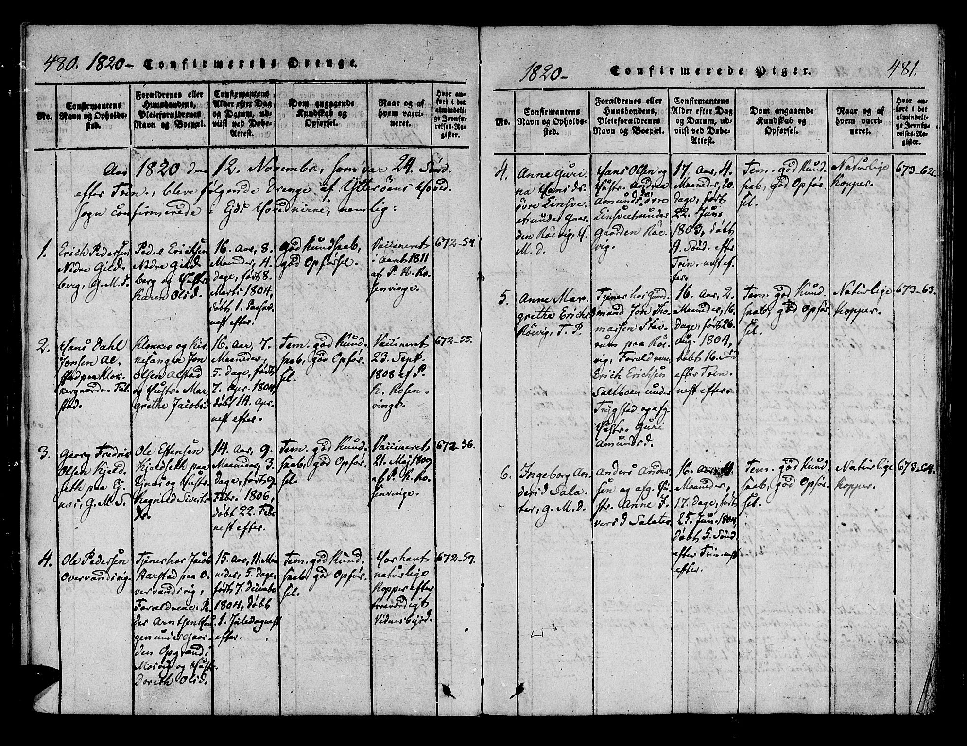 Ministerialprotokoller, klokkerbøker og fødselsregistre - Nord-Trøndelag, SAT/A-1458/722/L0217: Ministerialbok nr. 722A04, 1817-1842, s. 480-481
