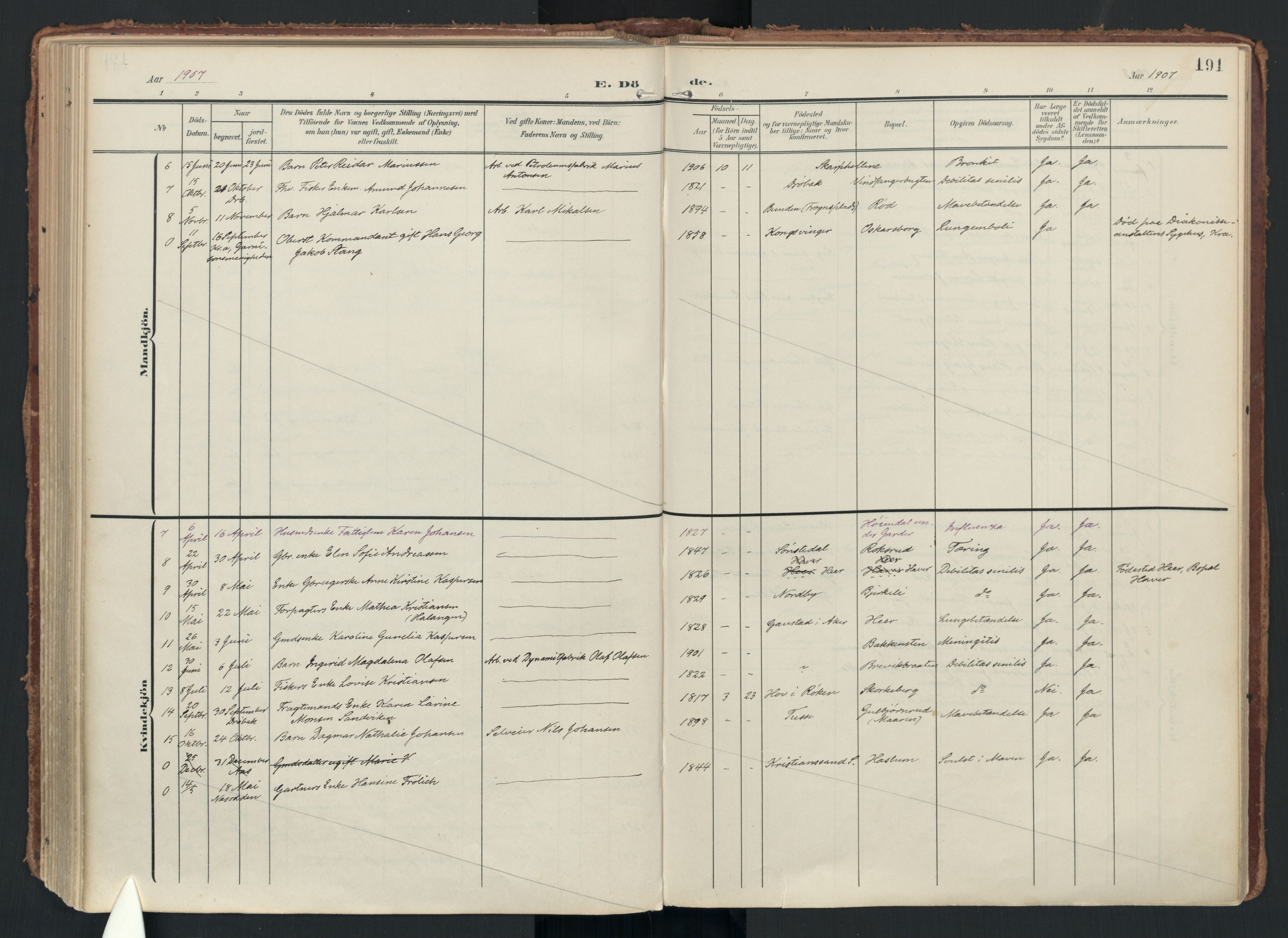 Drøbak prestekontor Kirkebøker, AV/SAO-A-10142a/F/Fc/L0003: Ministerialbok nr. III 3, 1901-1920, s. 191