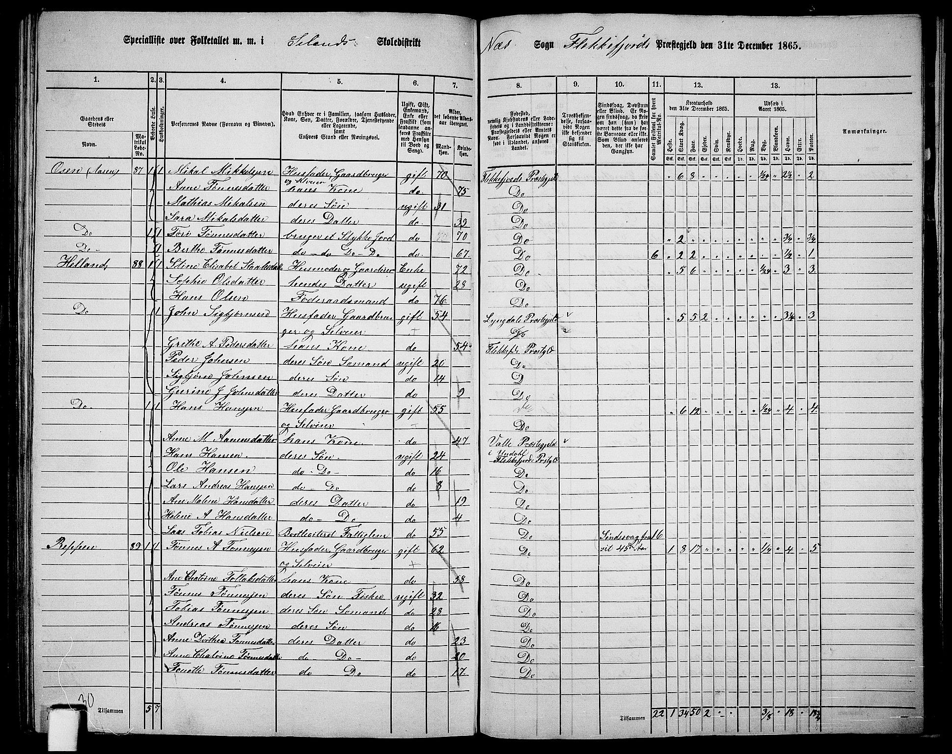 RA, Folketelling 1865 for 1042L Flekkefjord prestegjeld, Nes sokn og Hidra sokn, 1865, s. 157